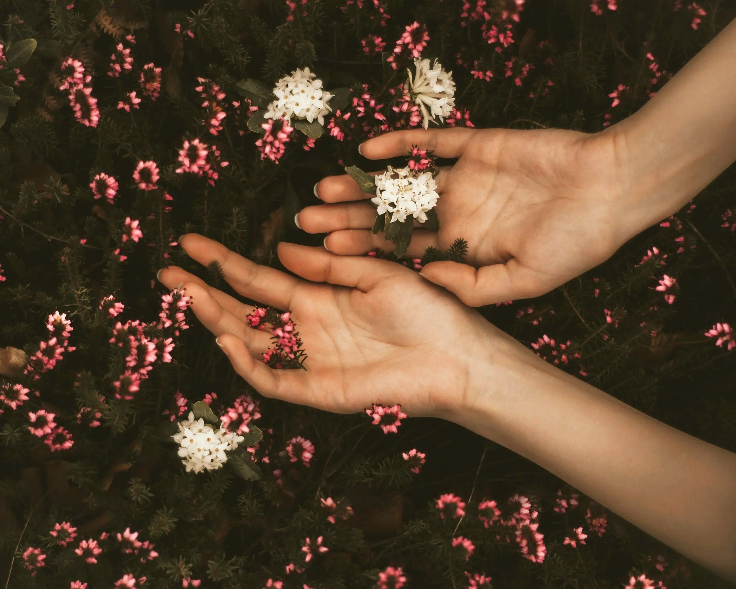Getting Your Period Back After Baby: What to Expect and What Helps