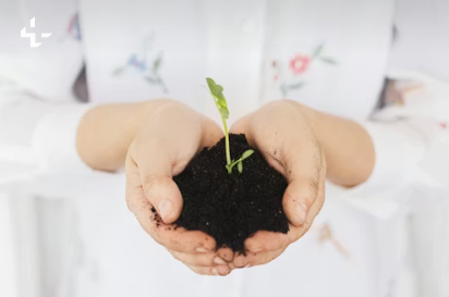 Woman receiving acupuncture for implantation support during two-week wait at Fifth Avenue Fertility Wellness NYC