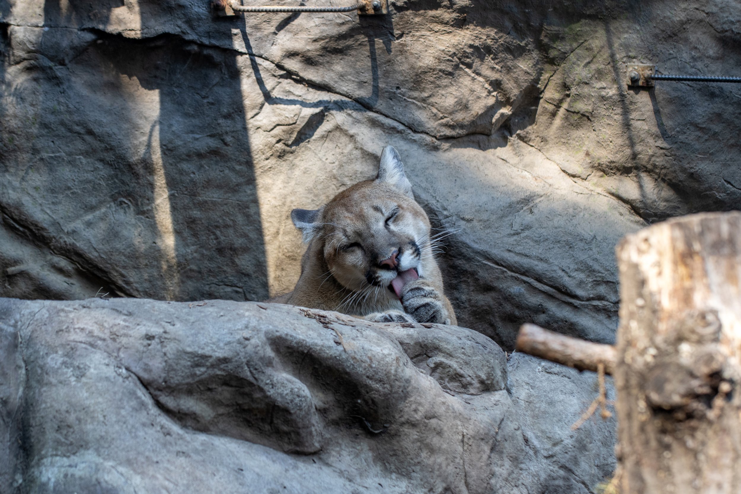 A Visit to the Minnesota Zoo