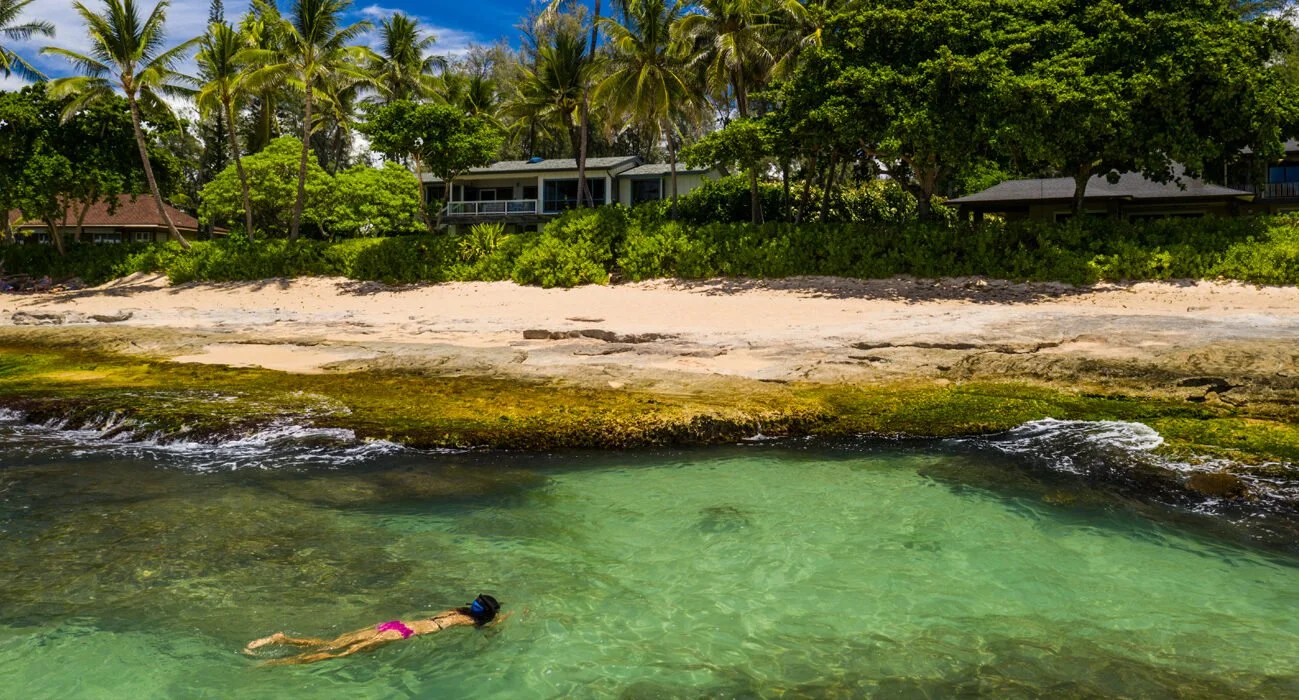 A person swimming in clear green water near a sandy beach with palm trees and residential houses in the background.