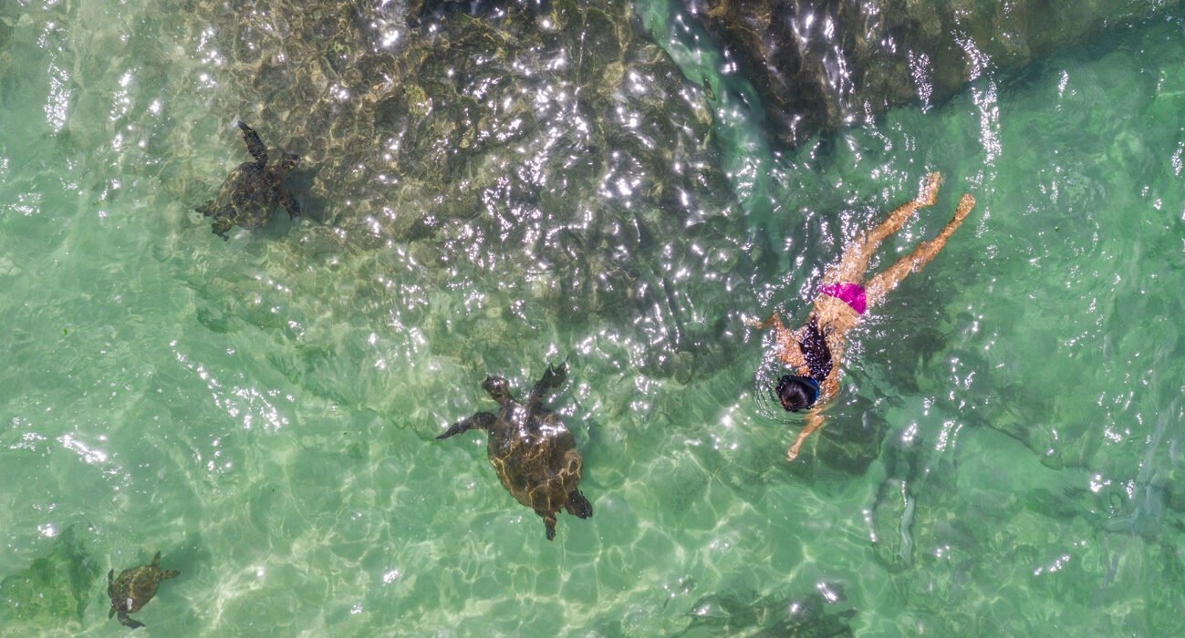 A girl swimming in clear green water with sea turtles around her.