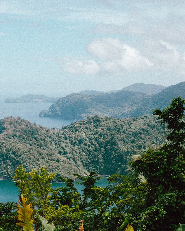 TTO NATURAL ENVIRONMENT-8.jpg