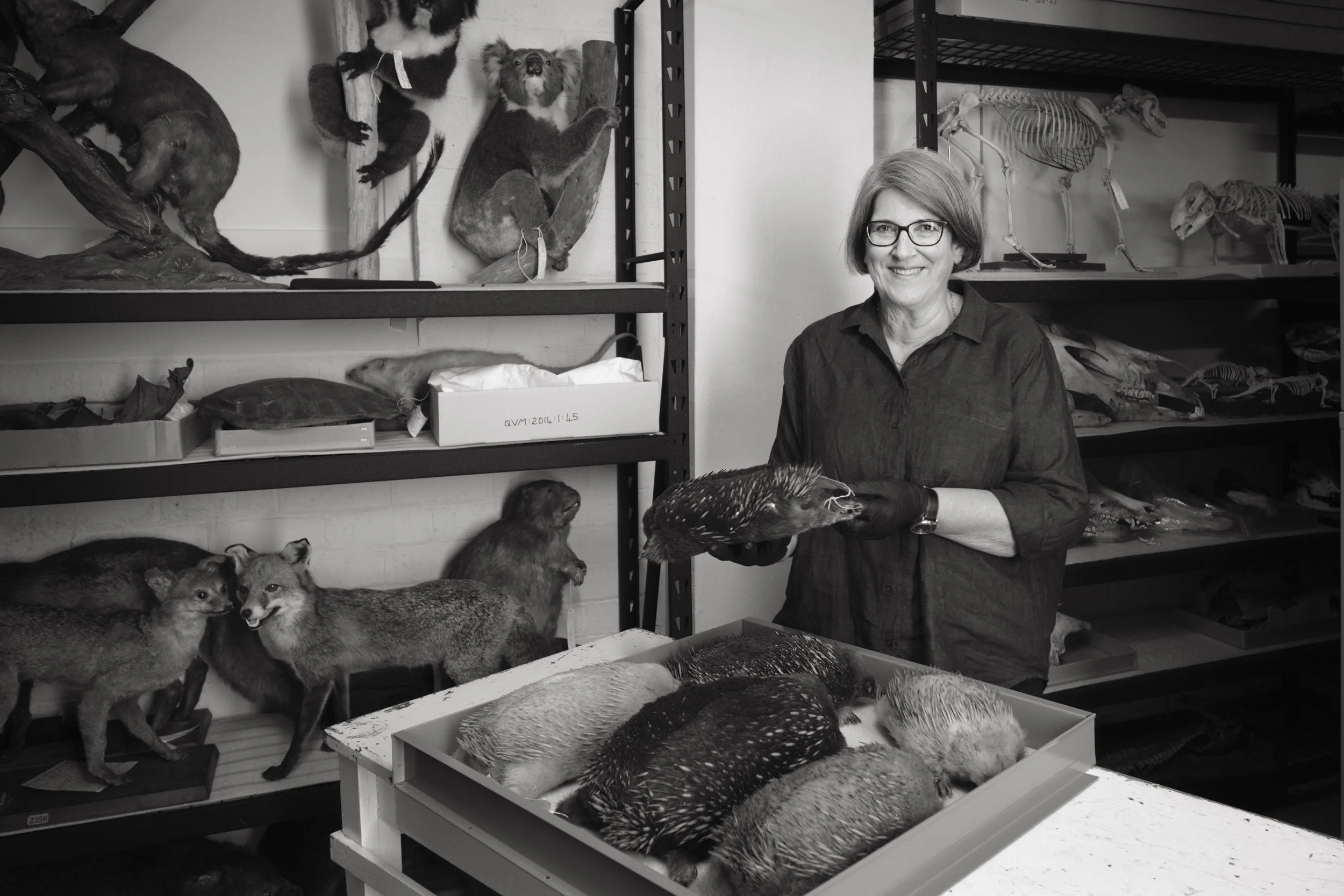 072 Faces 2024 Judy Rainbird F_1.jpg