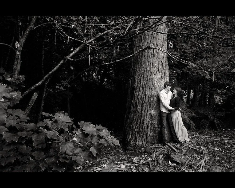 Photographs in your home