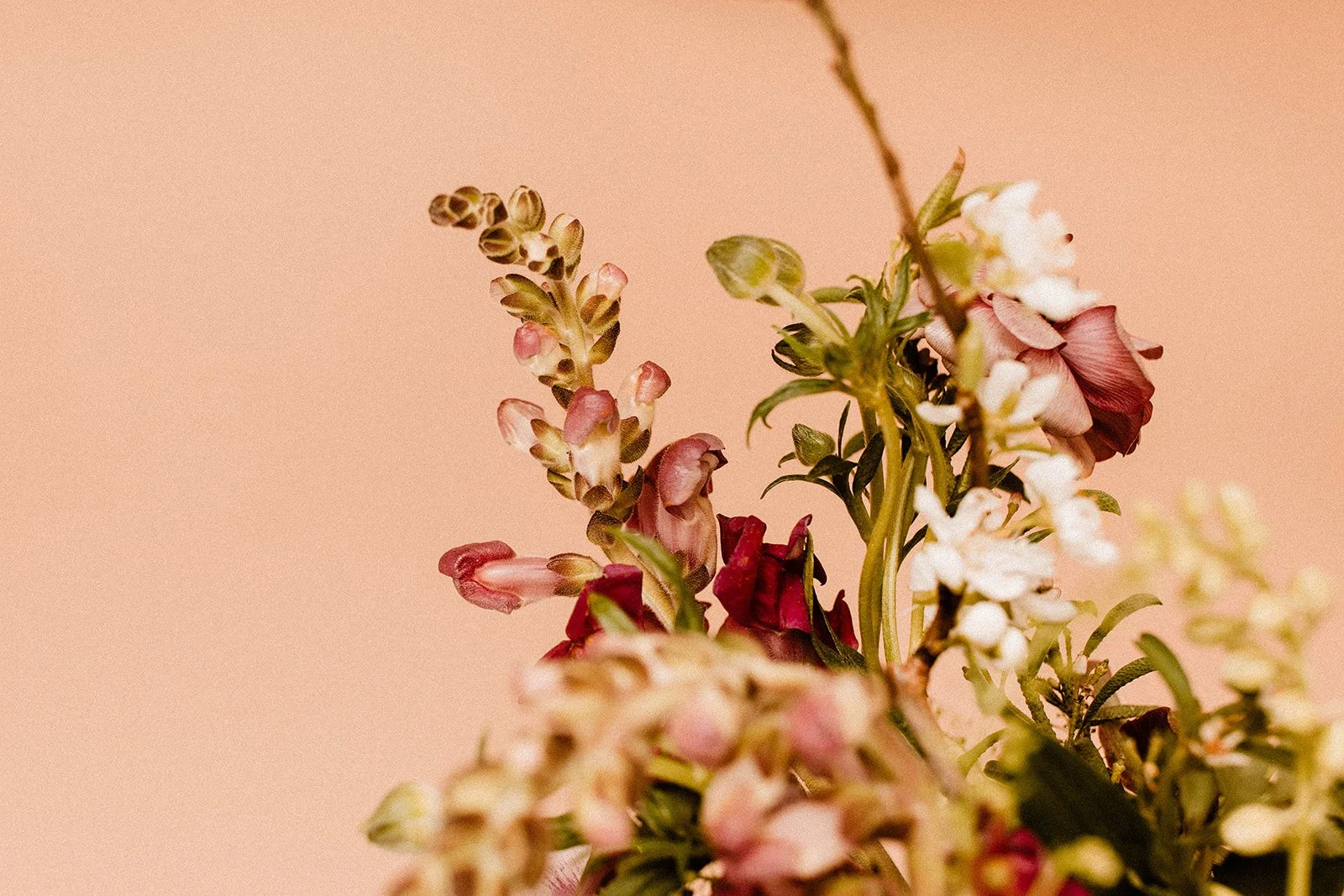 Fearless Florals Branding Group 3-6.jpg