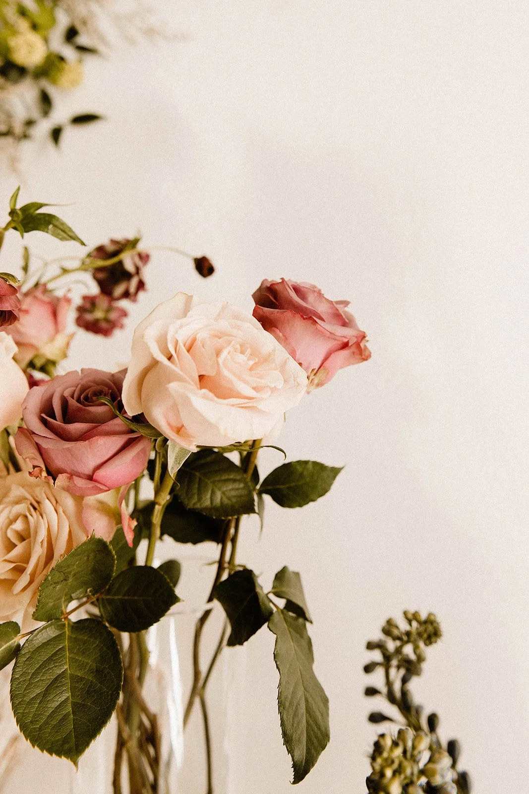 Fearless Florals Branding Group 3-47.jpg