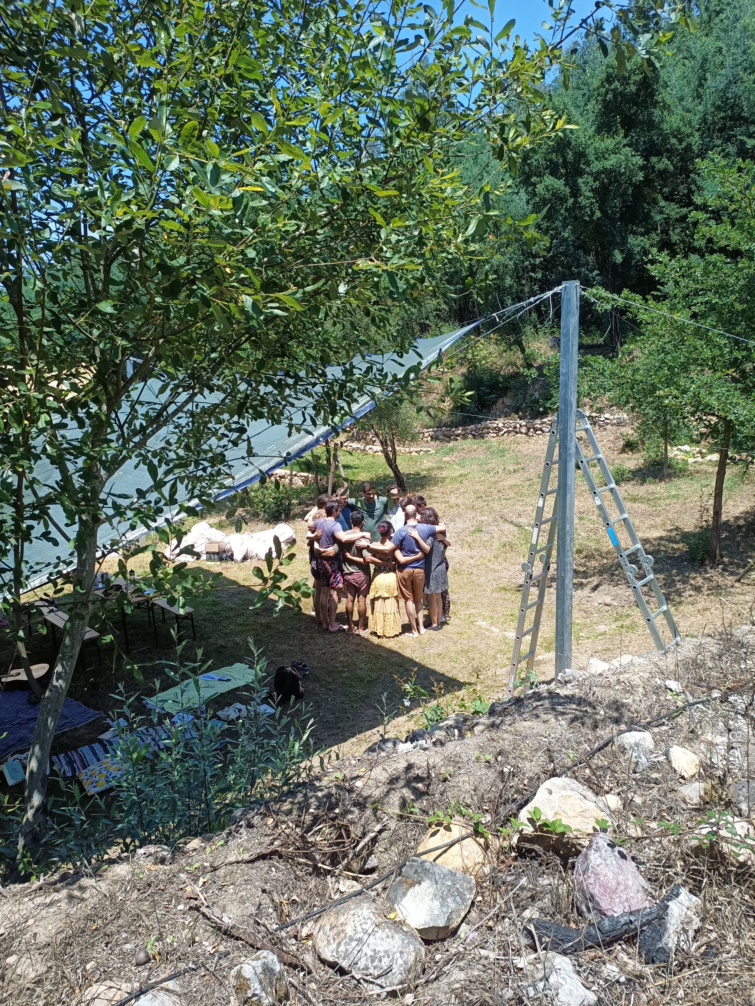 IMG_20230616_131810.jpg