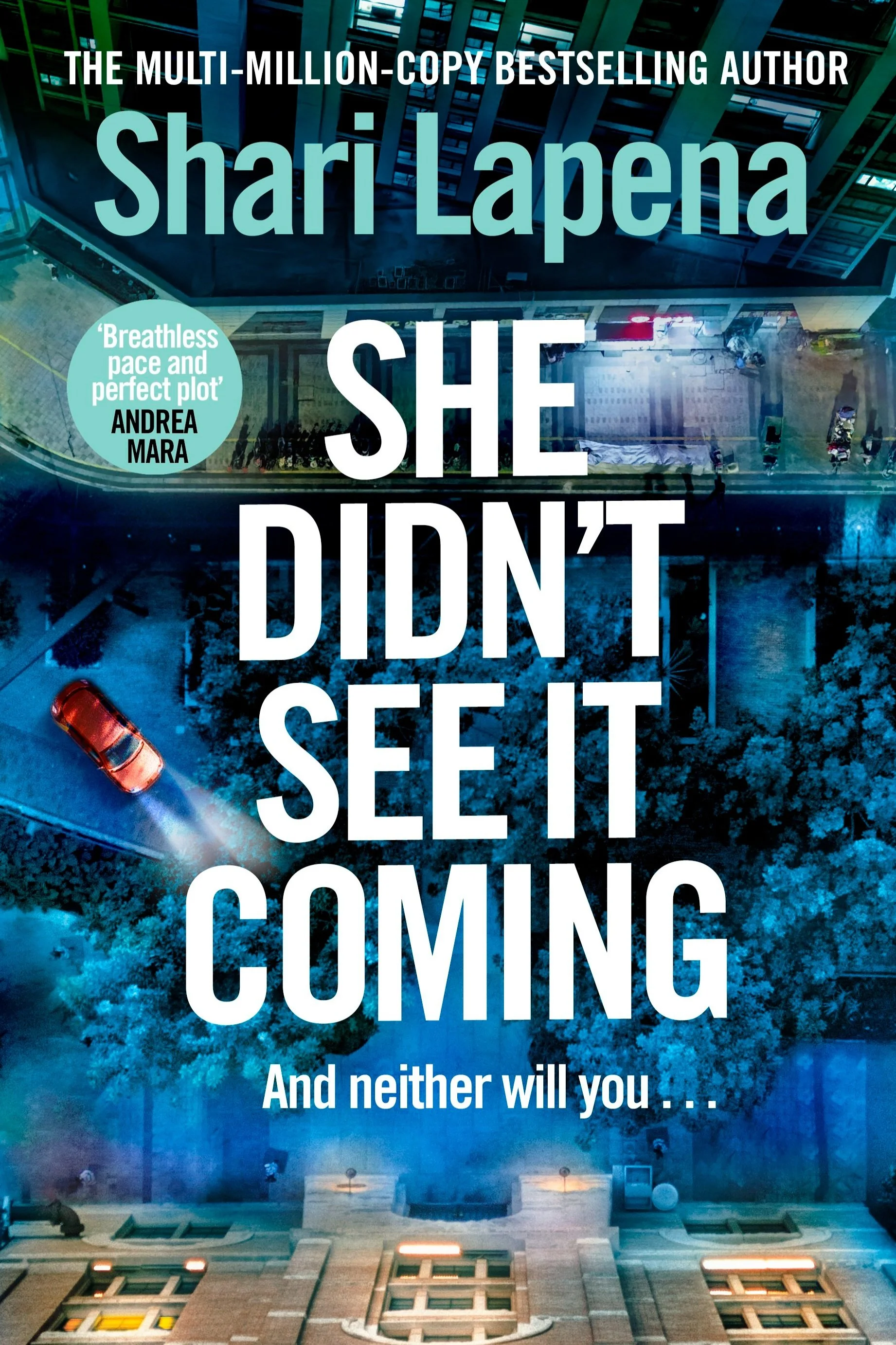 She Didn't See it Coming — Shari Lapena She Didn't See it Coming — Shari Lapena