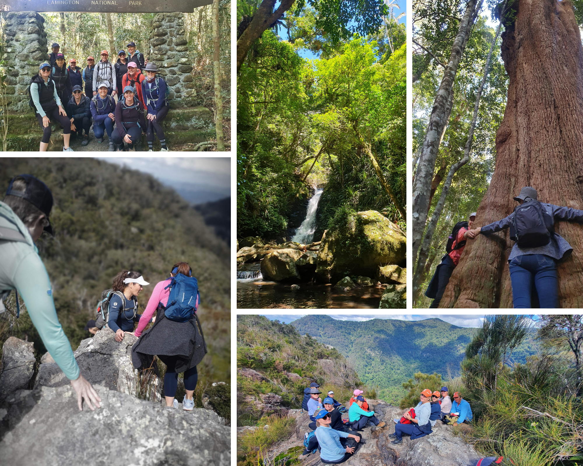 Why Women Love Going Wild in Lamington National Park
