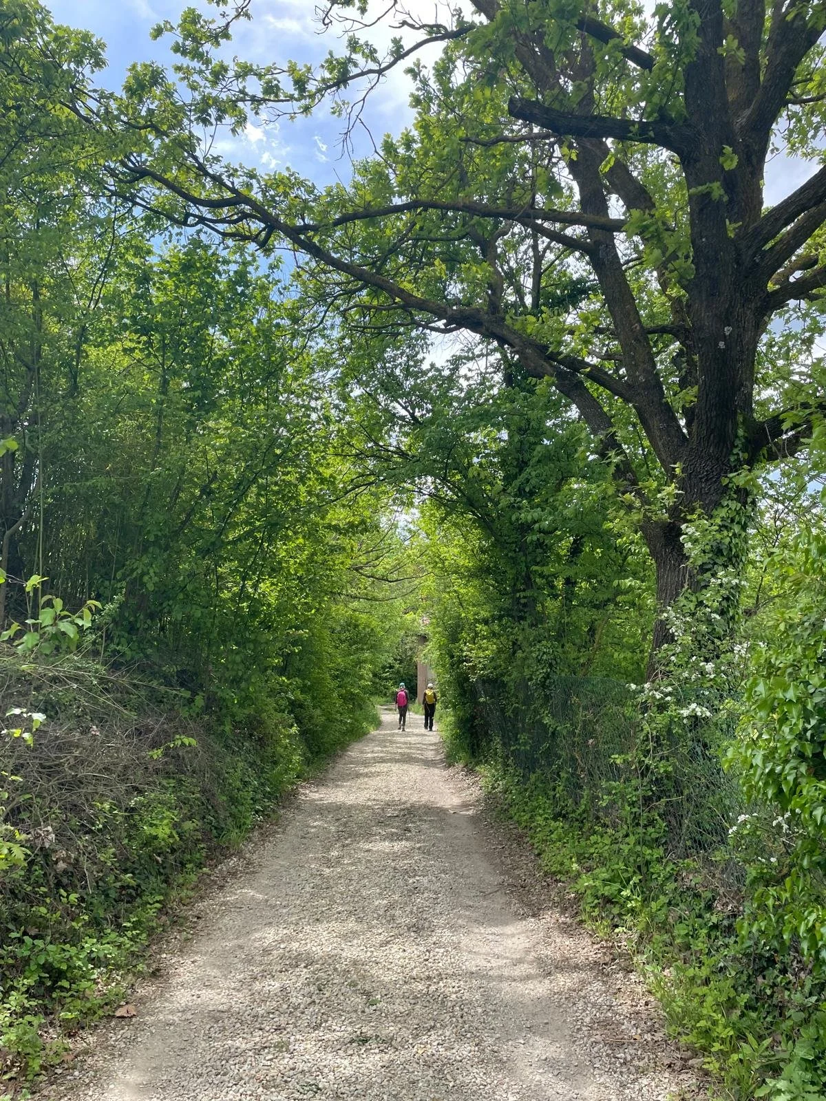 women hiking the Piedmont Culinary Journey