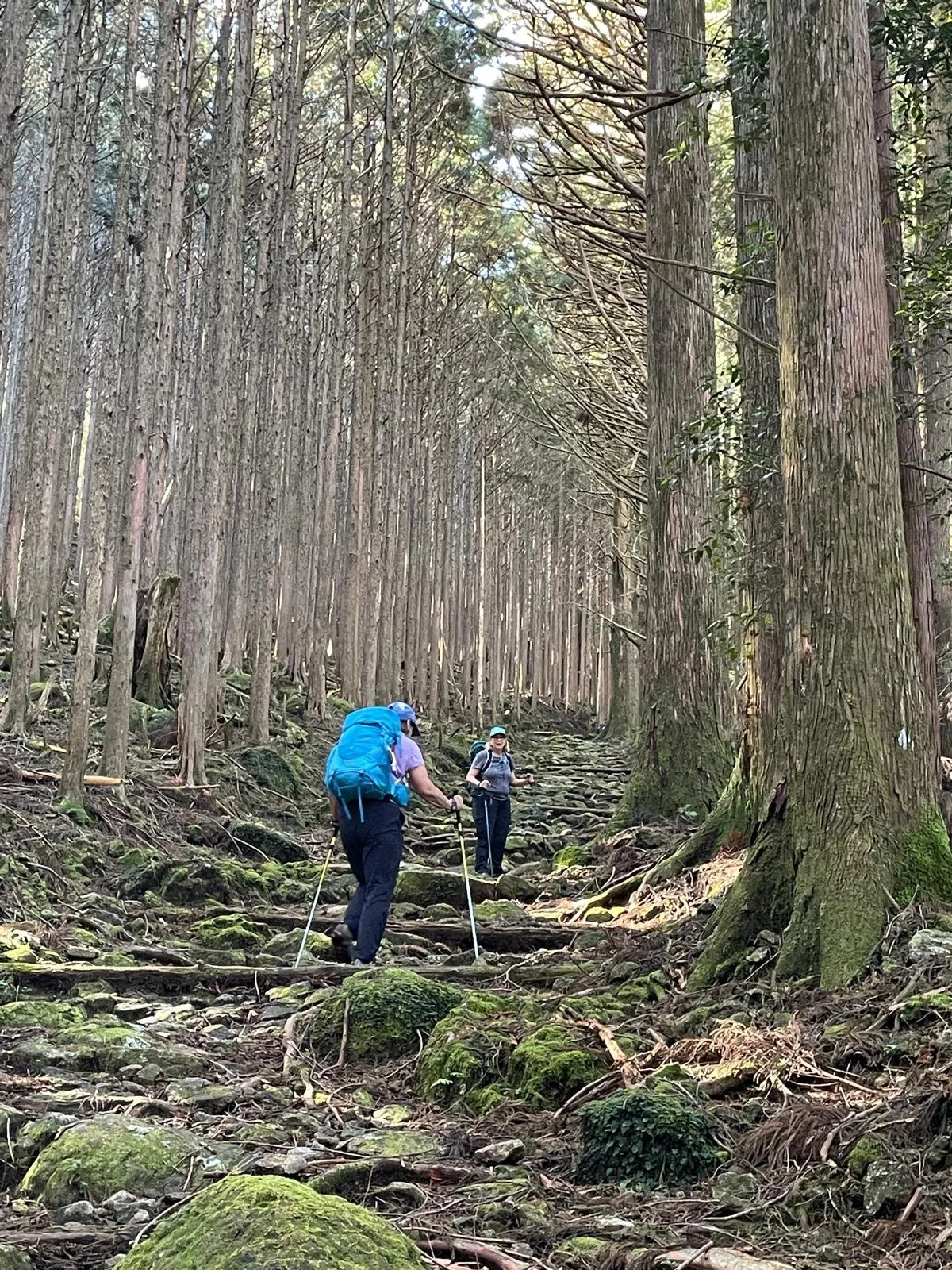 Women hiking the Kumano Kodo