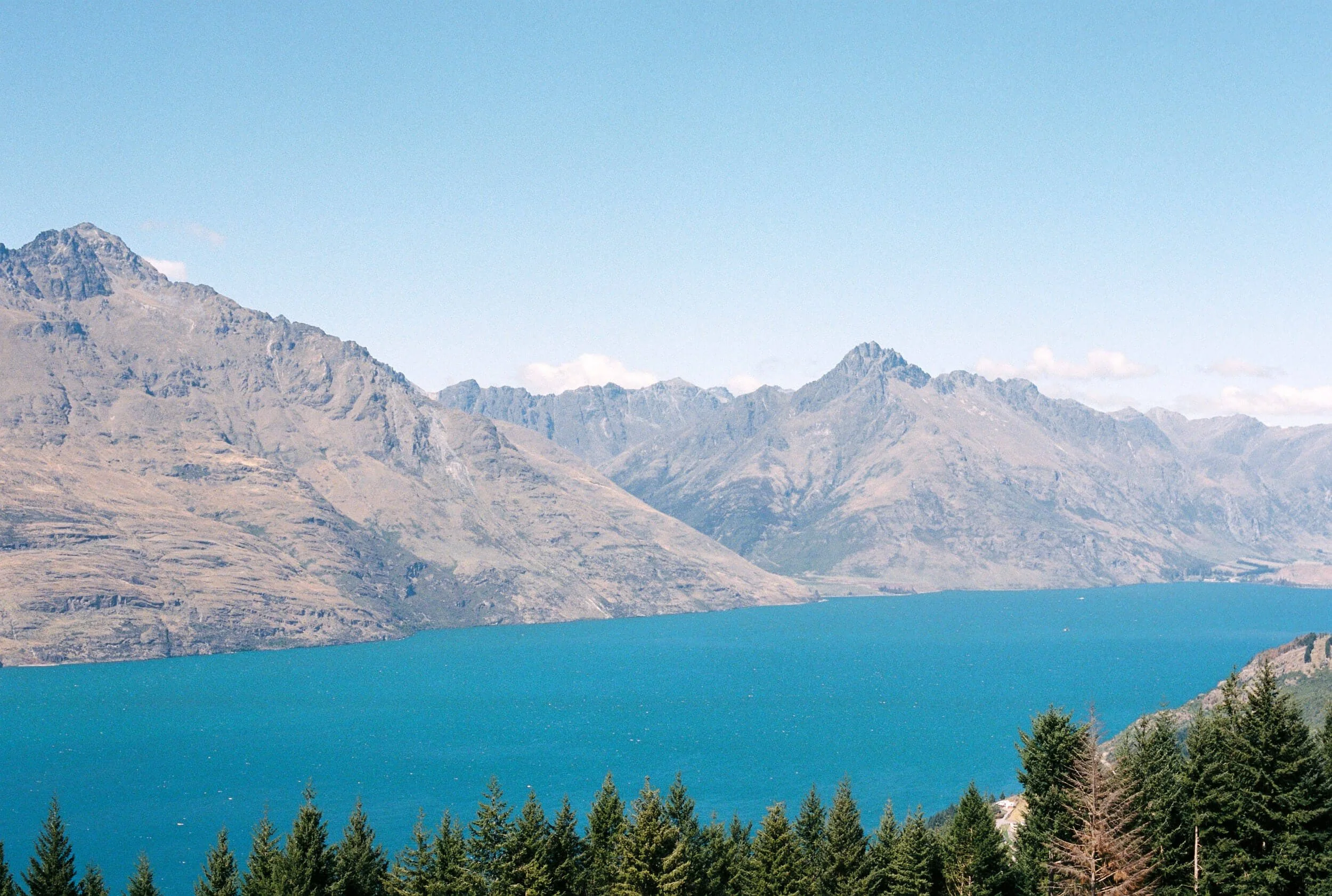 New Zealand Family Trip_Amber Melody Photography_16.jpg