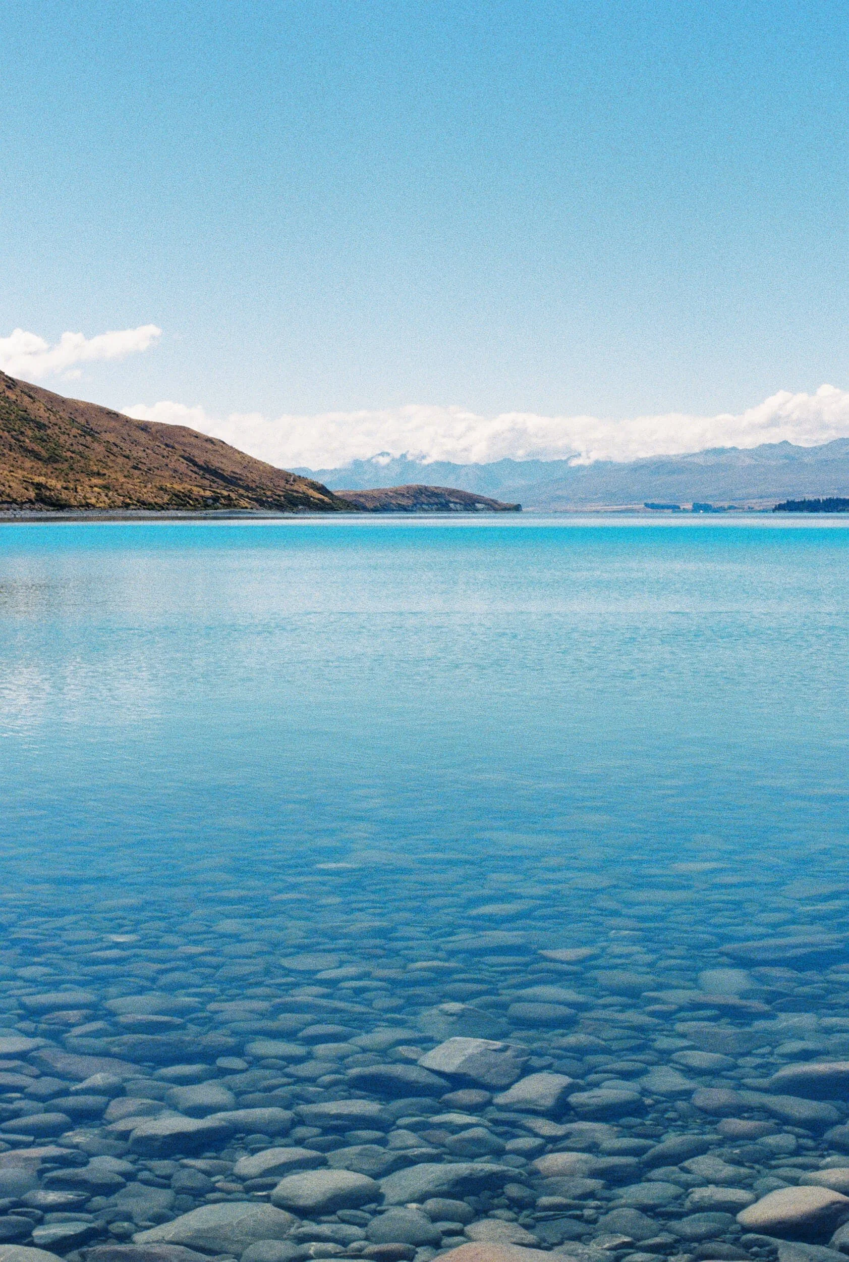 New Zealand Family Trip_Amber Melody Photography_47.jpg
