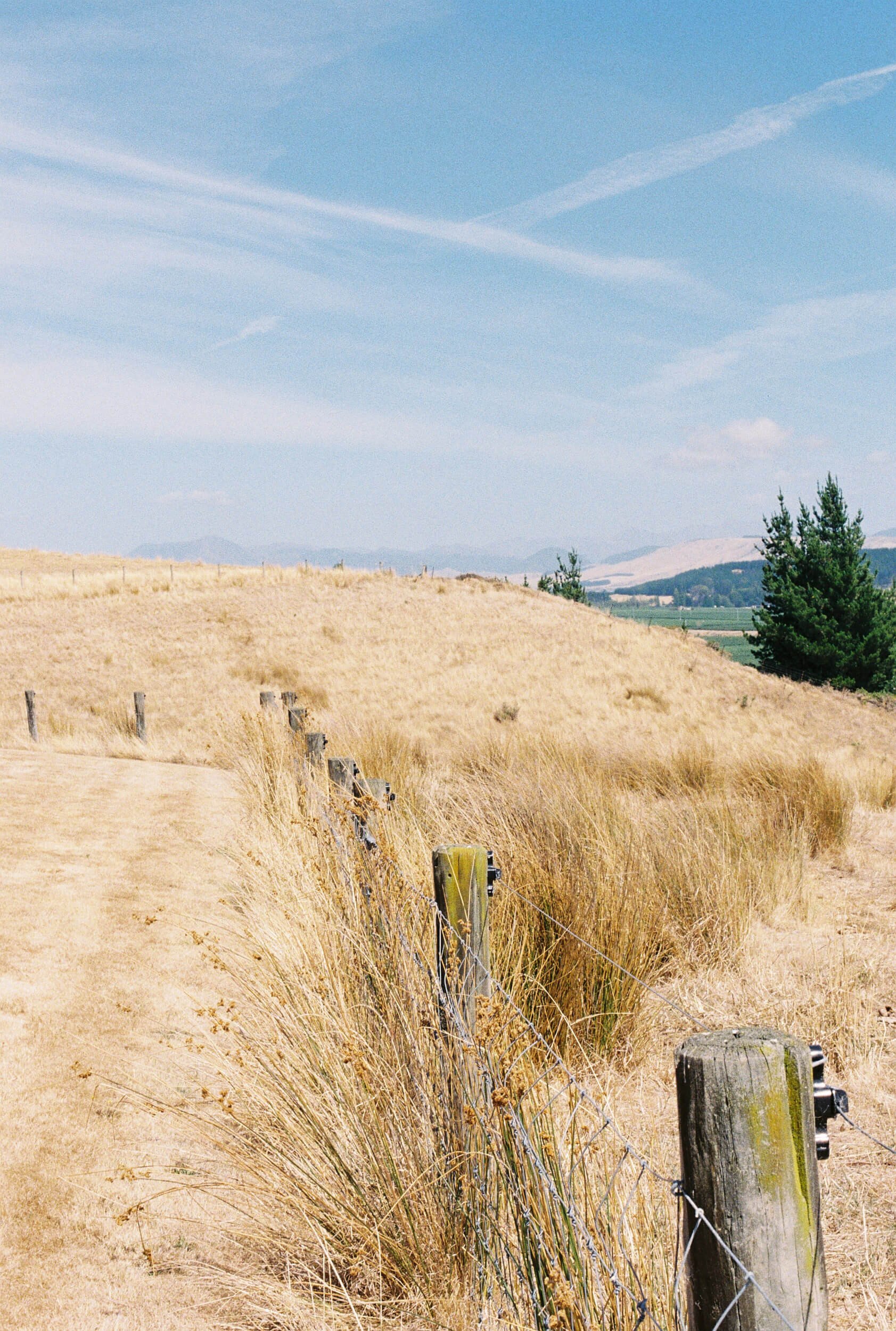 New Zealand Family Trip_Amber Melody Photography_62.jpg