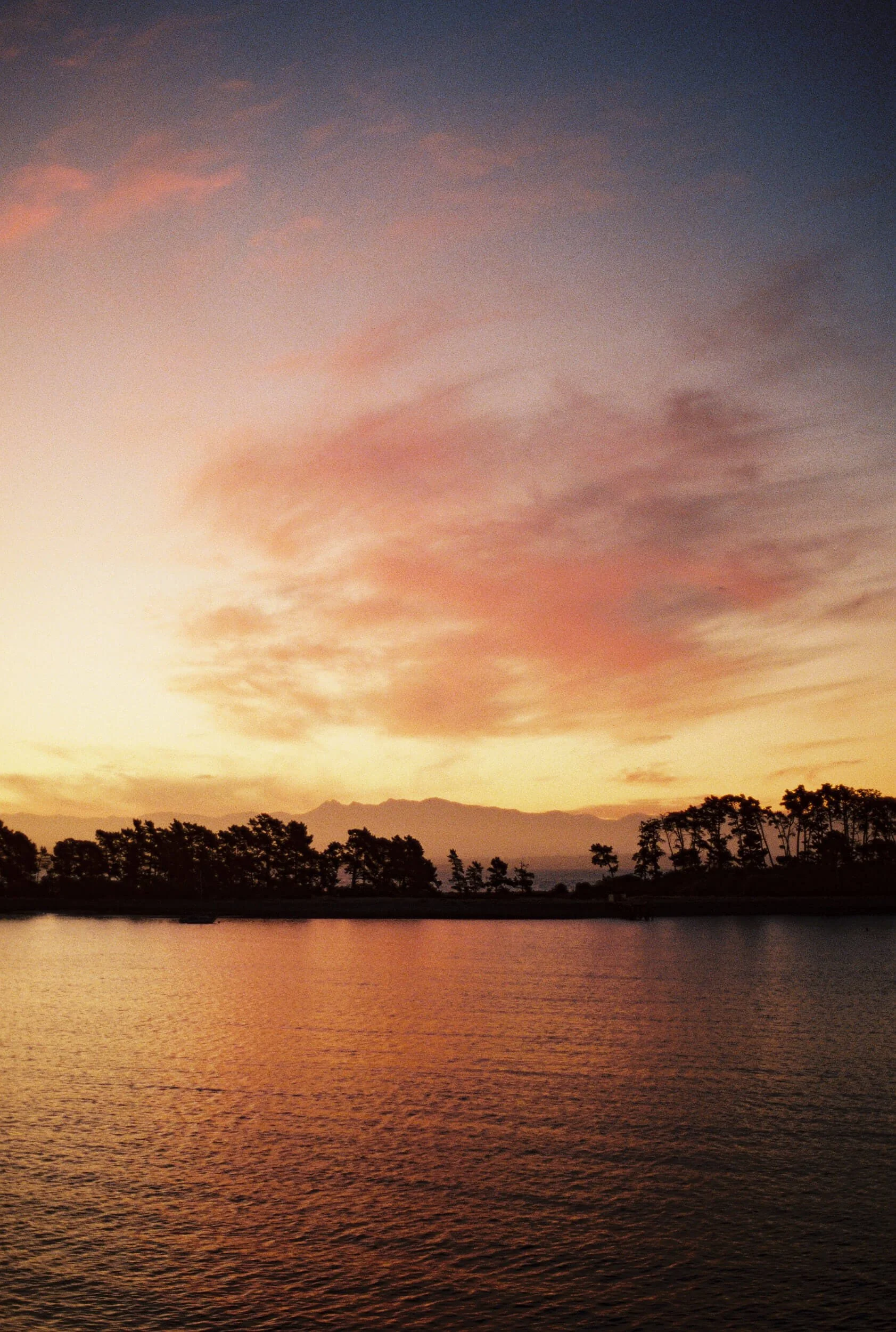 New Zealand Family Trip_Amber Melody Photography_48.jpg