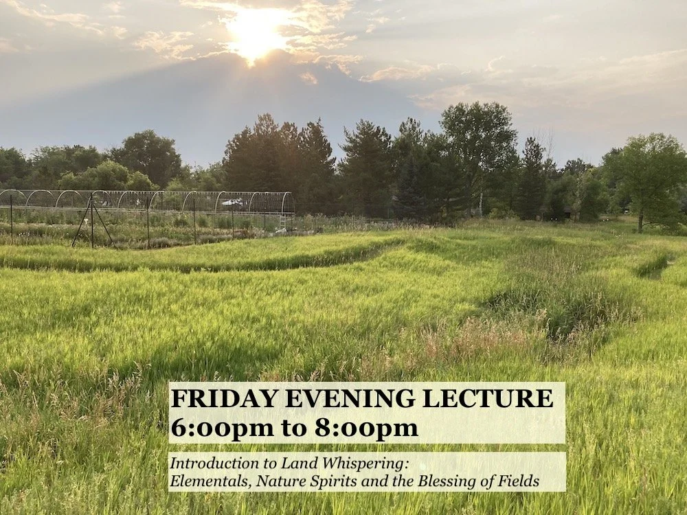 Friday evening lecture (6pm to 8pm)