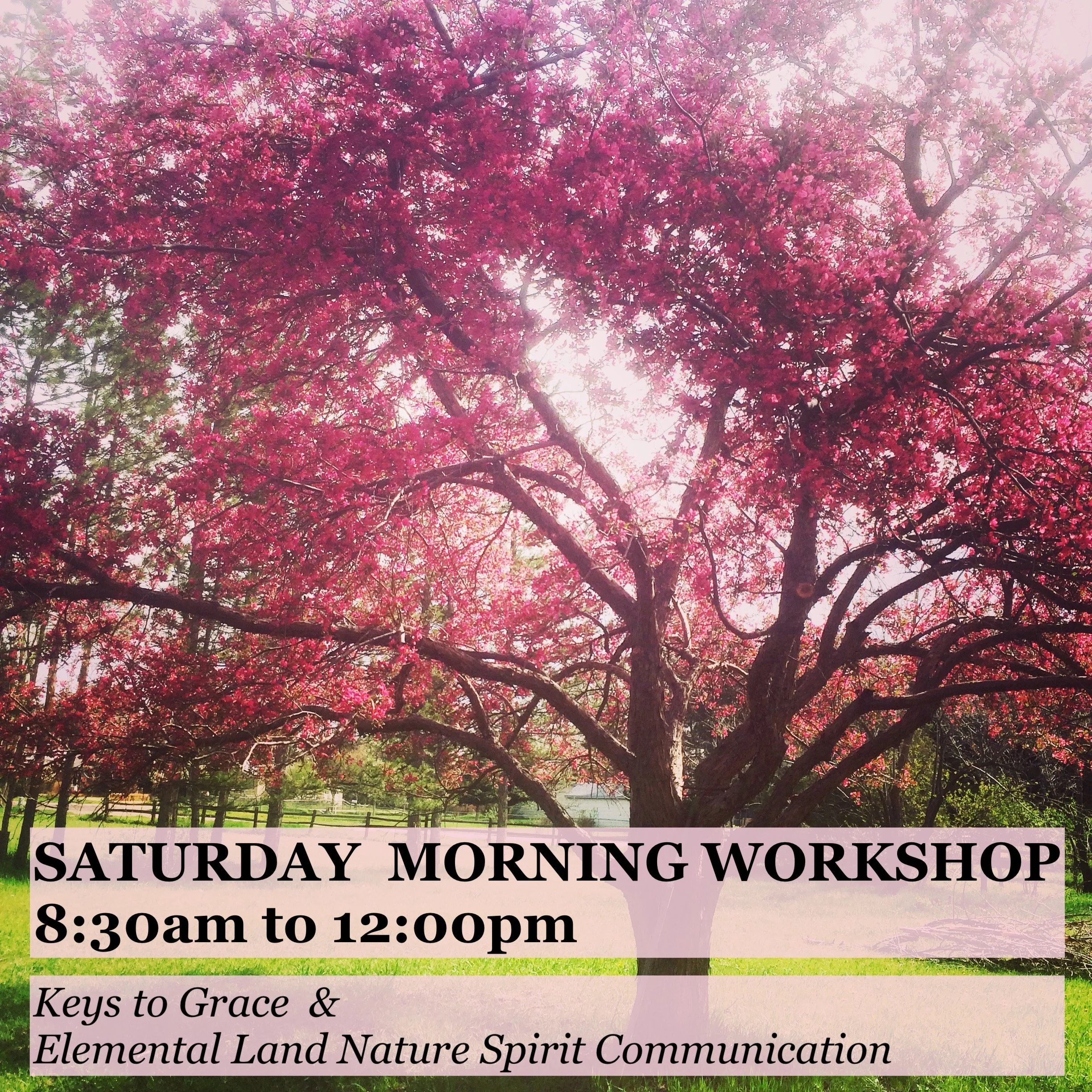 Saturday morning workshop (8:30am to 12:00pm)