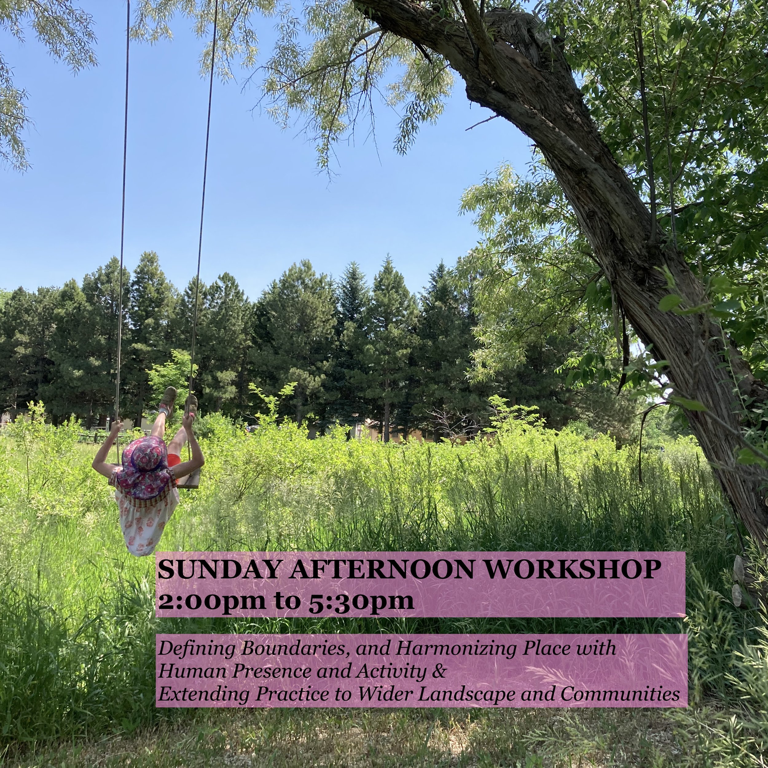 Sunday afternoon workshop (2:00pm to 5:30pm)