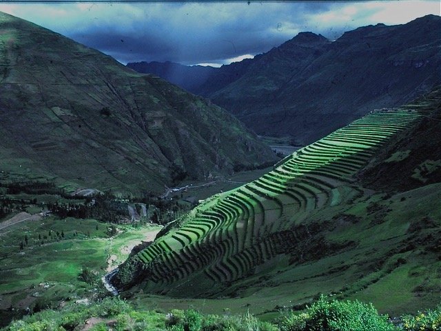 Peruvian Terraces.jpeg