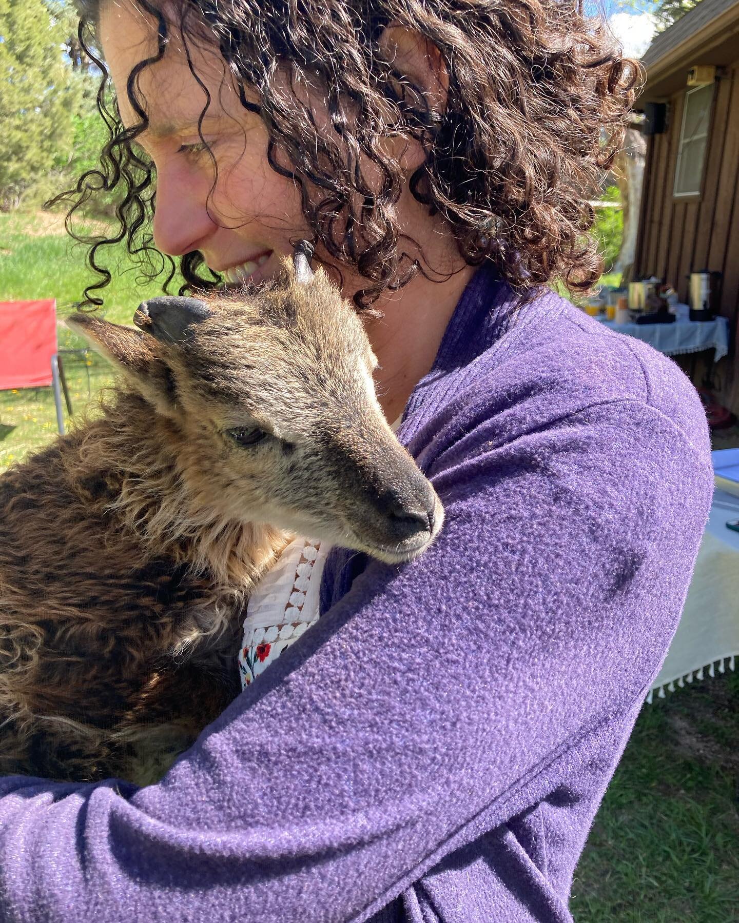 Didn&rsquo;t expect to fall in love quite this much with our sheep, but I guess that&rsquo;s what life has been since we moved to this land&hellip;a series of great loves, one after the other.

#fortheloveofsheep #whiskythelamb
#marriedtoafarmer