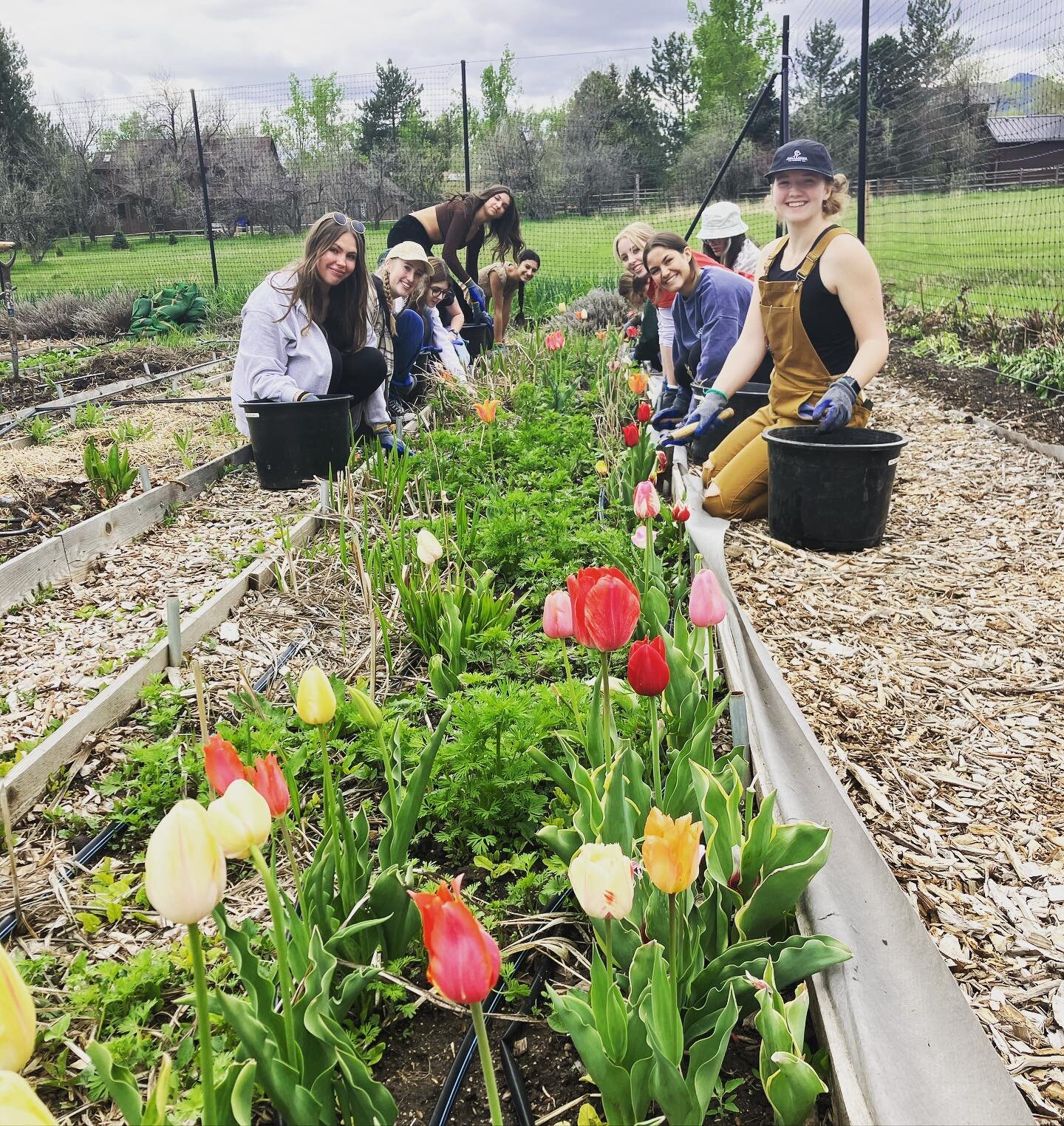 We loved hosting this University of Denver&rsquo;s &ldquo;Food Matters&rdquo; class. What a lovely group of people, willing to learn about biodynamic farming and to jump into the work too!