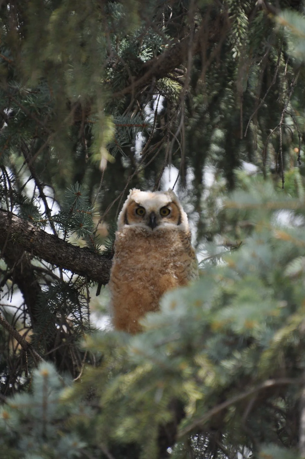 DSC_0294.JPG