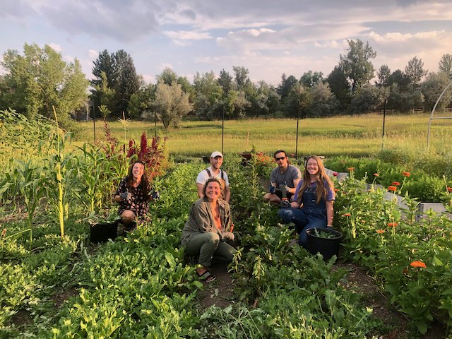 Miriam & friends in garden.jpeg