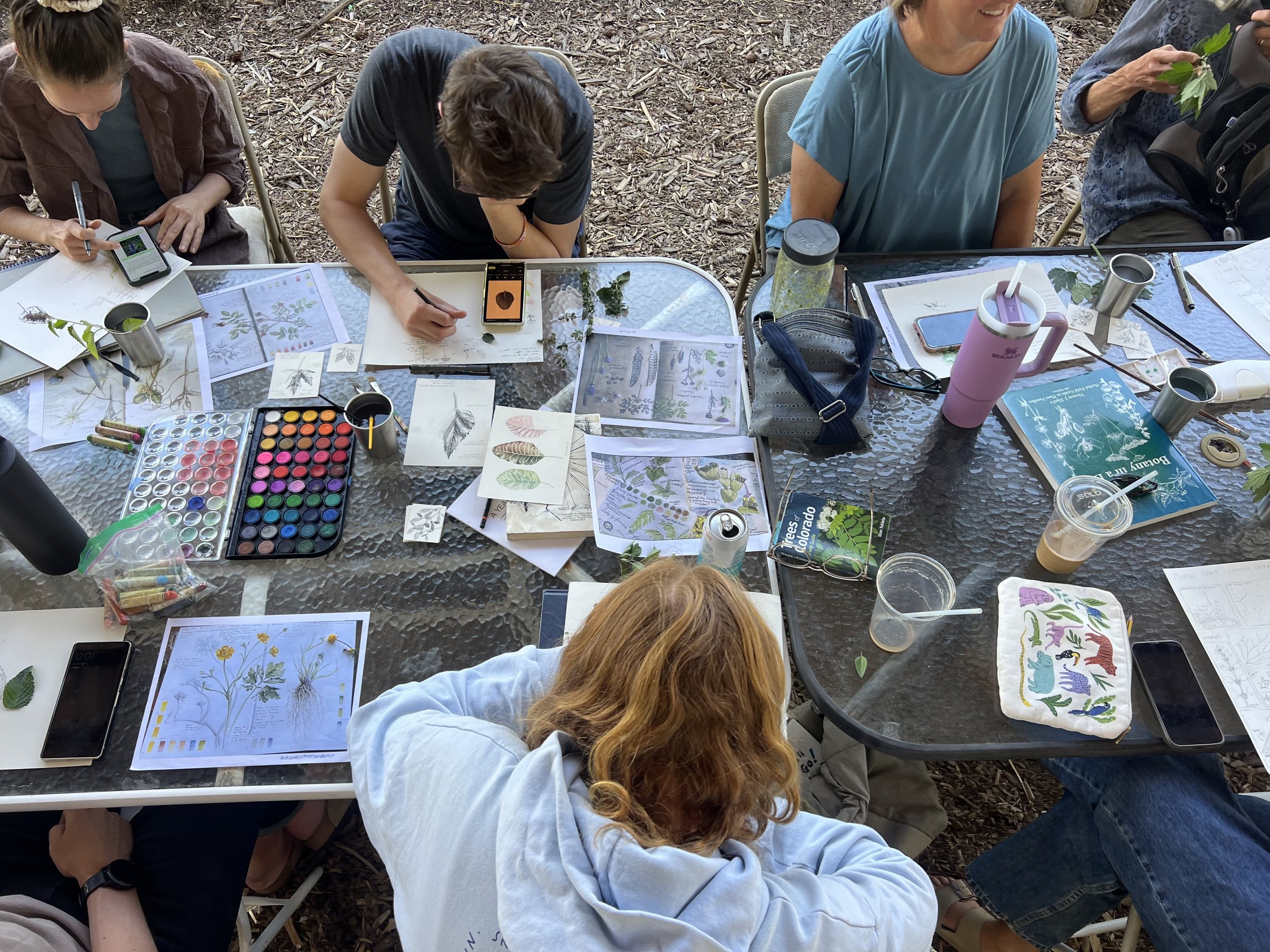 iNTRO tO BOTANICAL ILLUSTRATION: Drawing Flowers