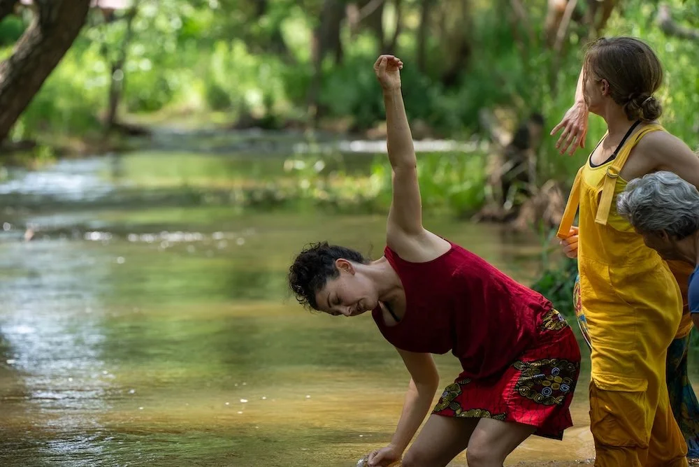 Dancing with the Wild