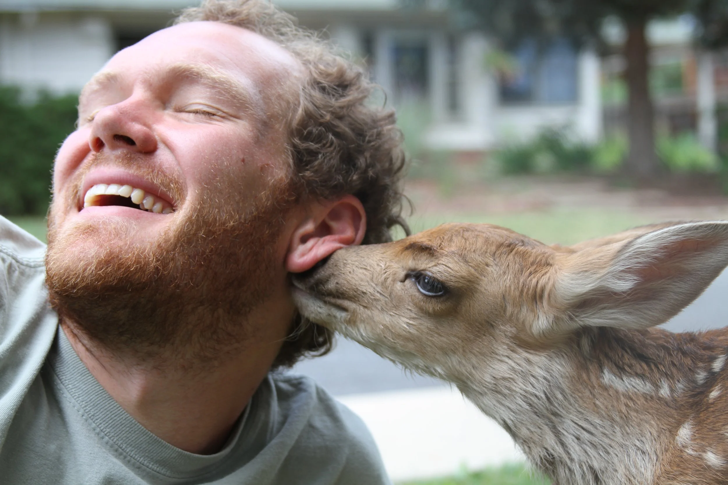 x2 Dharma nuzzles Tim.JPG