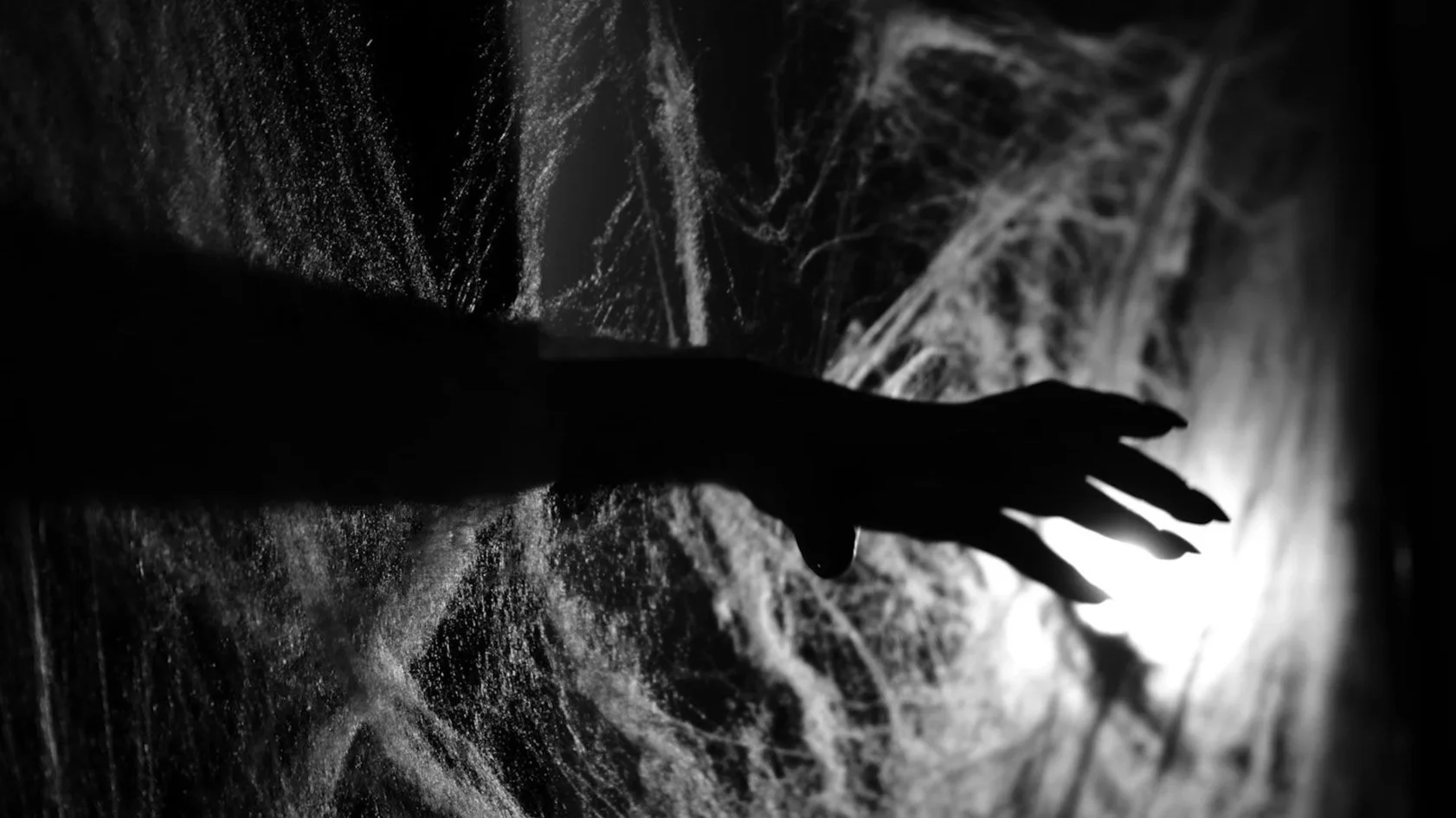 "Into The Web" Stills