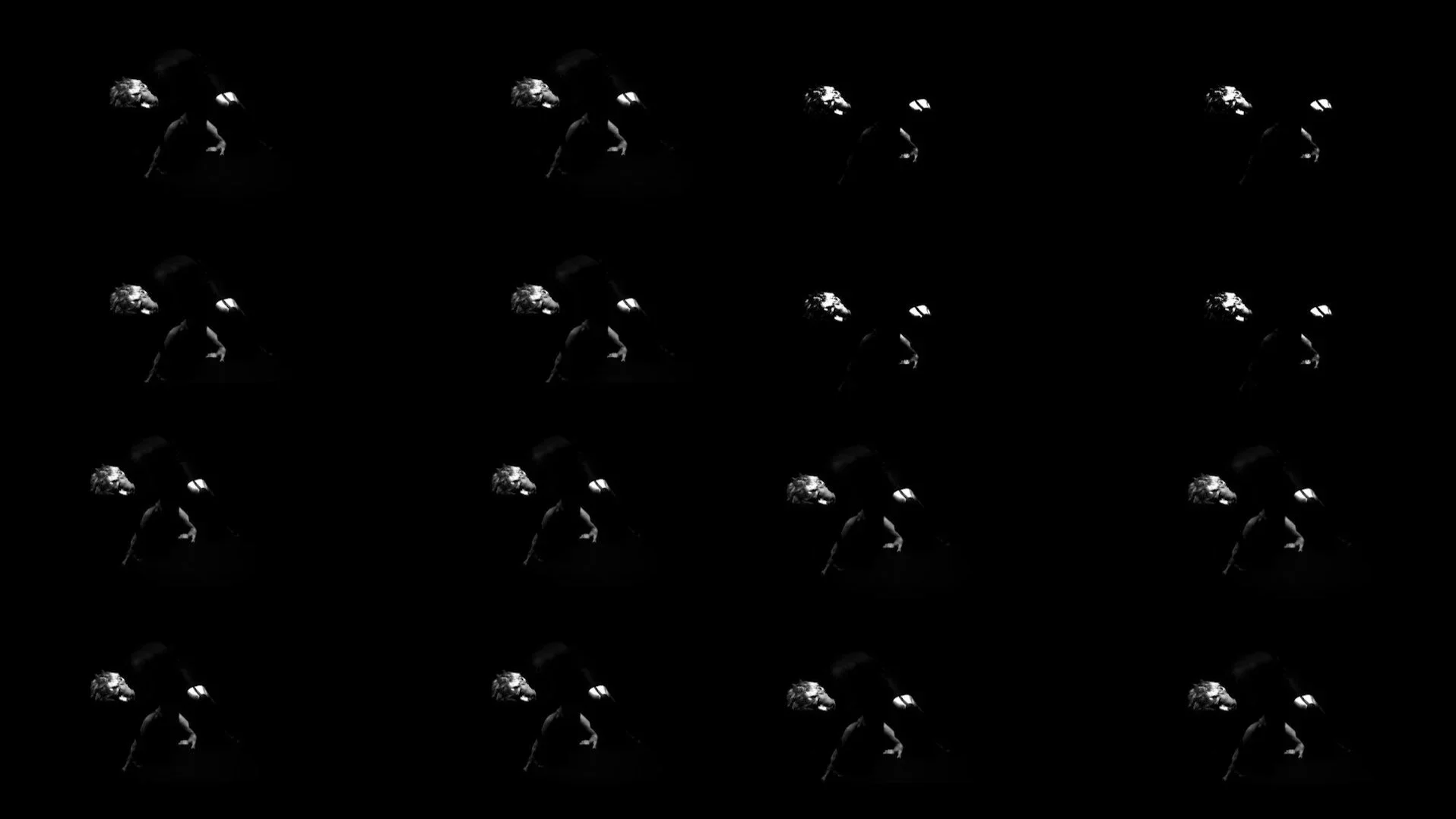 "Into The Web" Stills