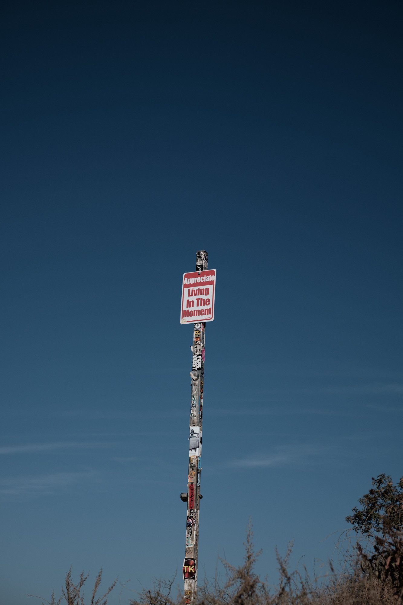 DSCF3669.jpg