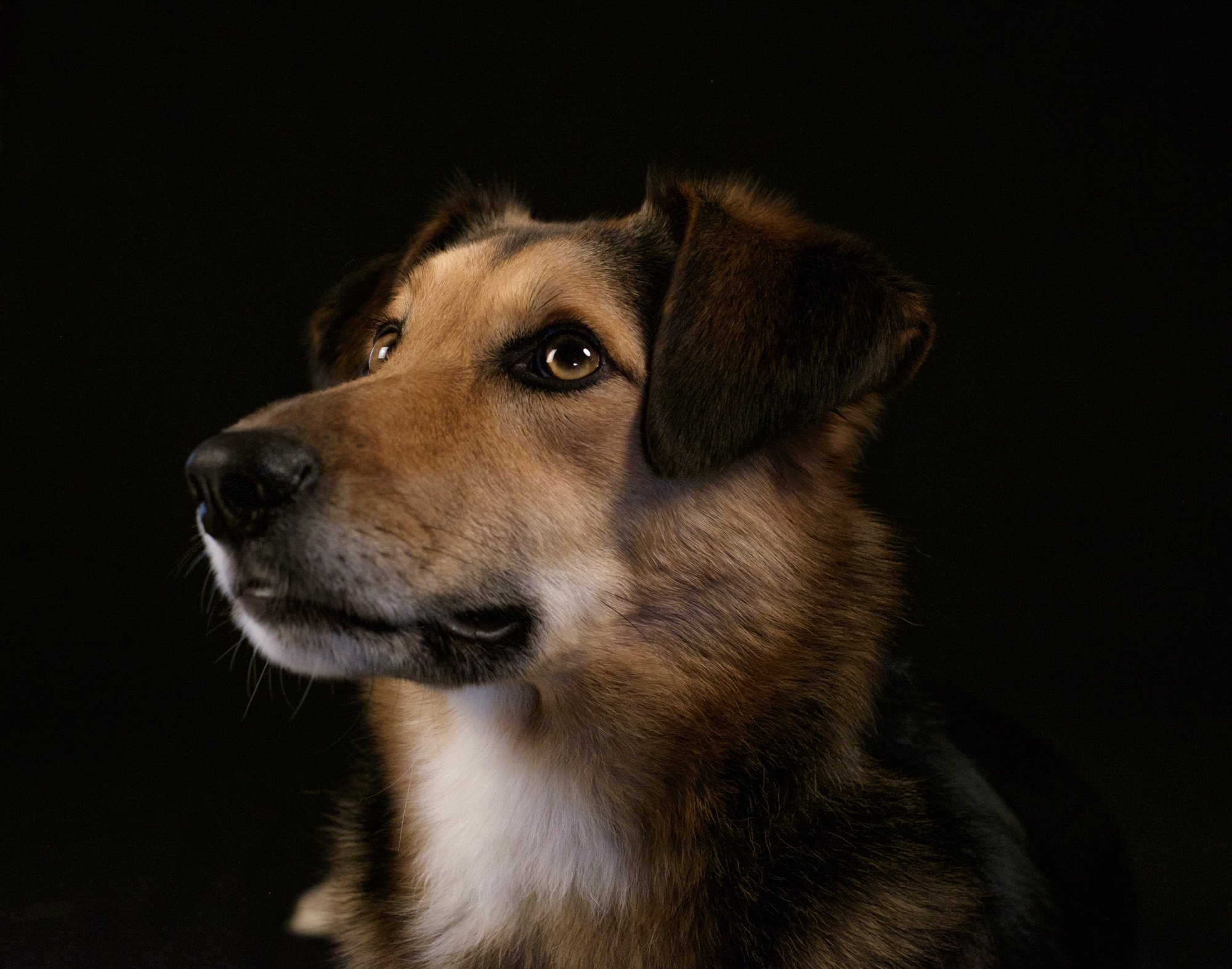 DSCF5313.jpg
