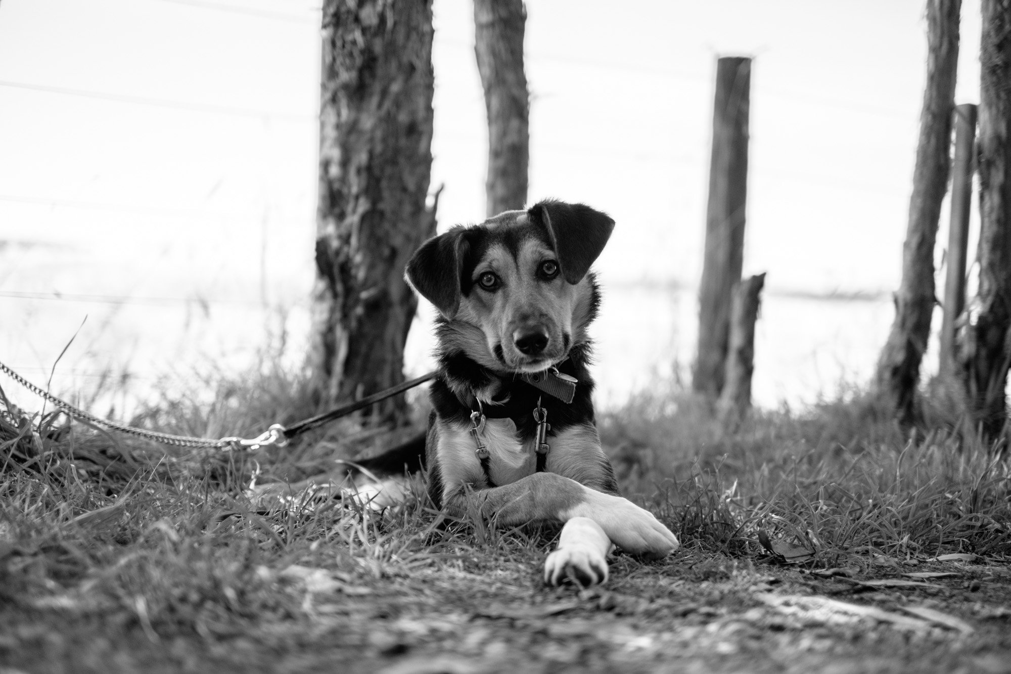 DSCF3514.jpg