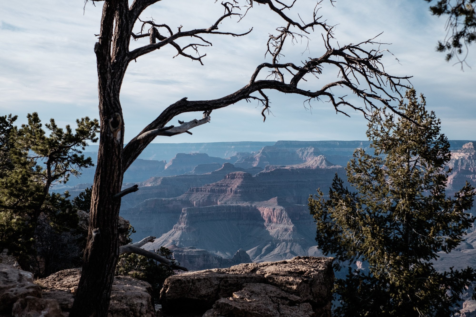 DSCF2225.jpg
