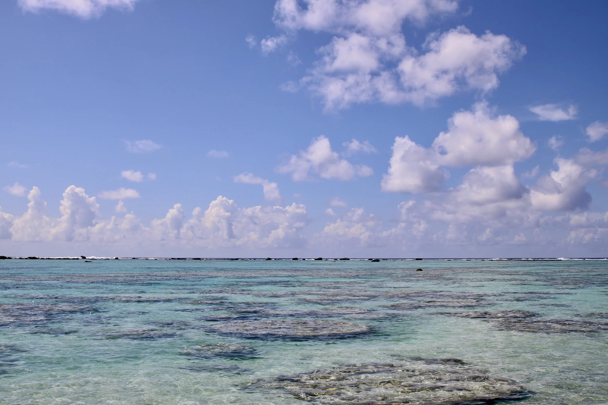 IMG_6331 2.JPG