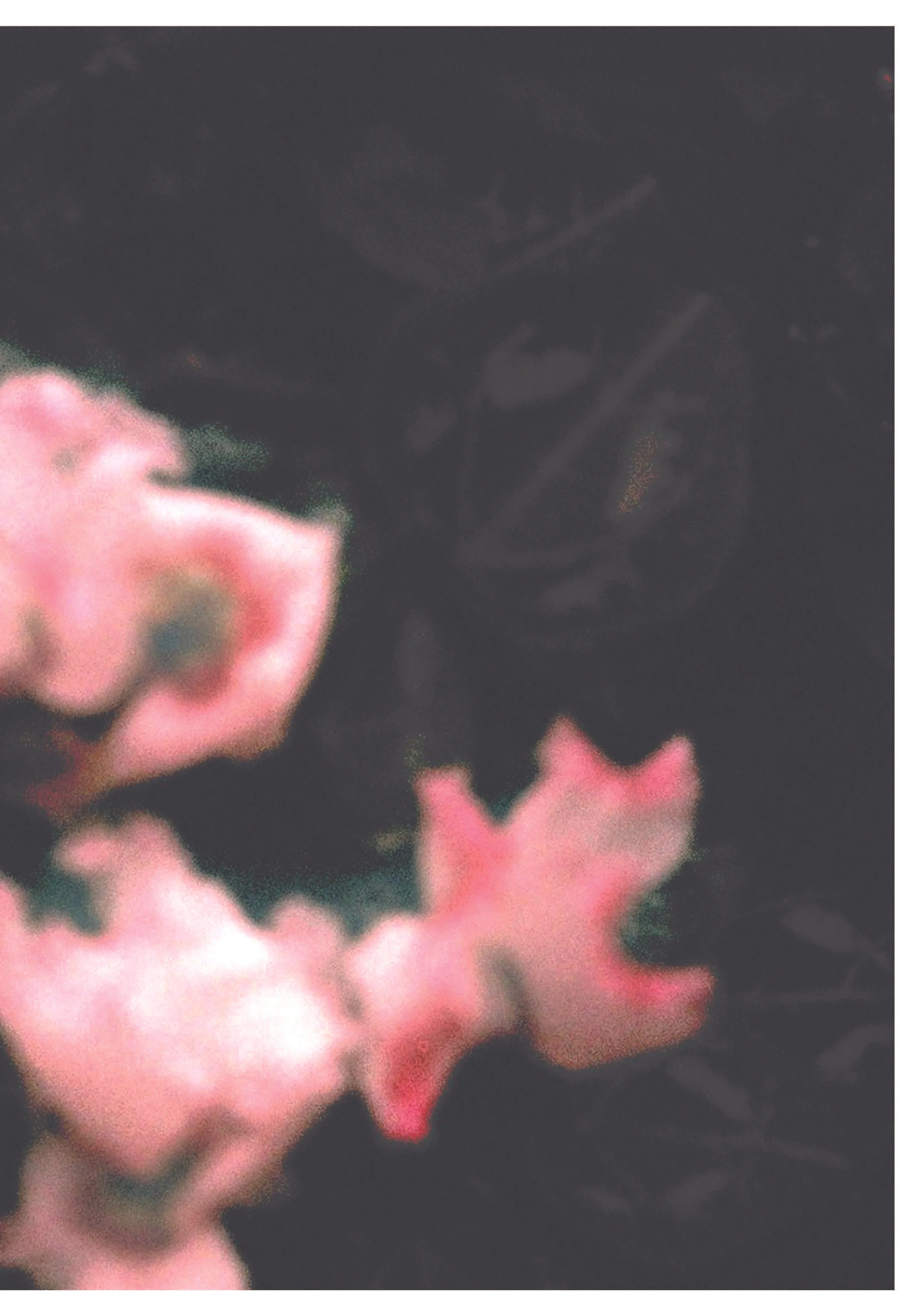 parfum scent zine jpgs_Page_25.jpg