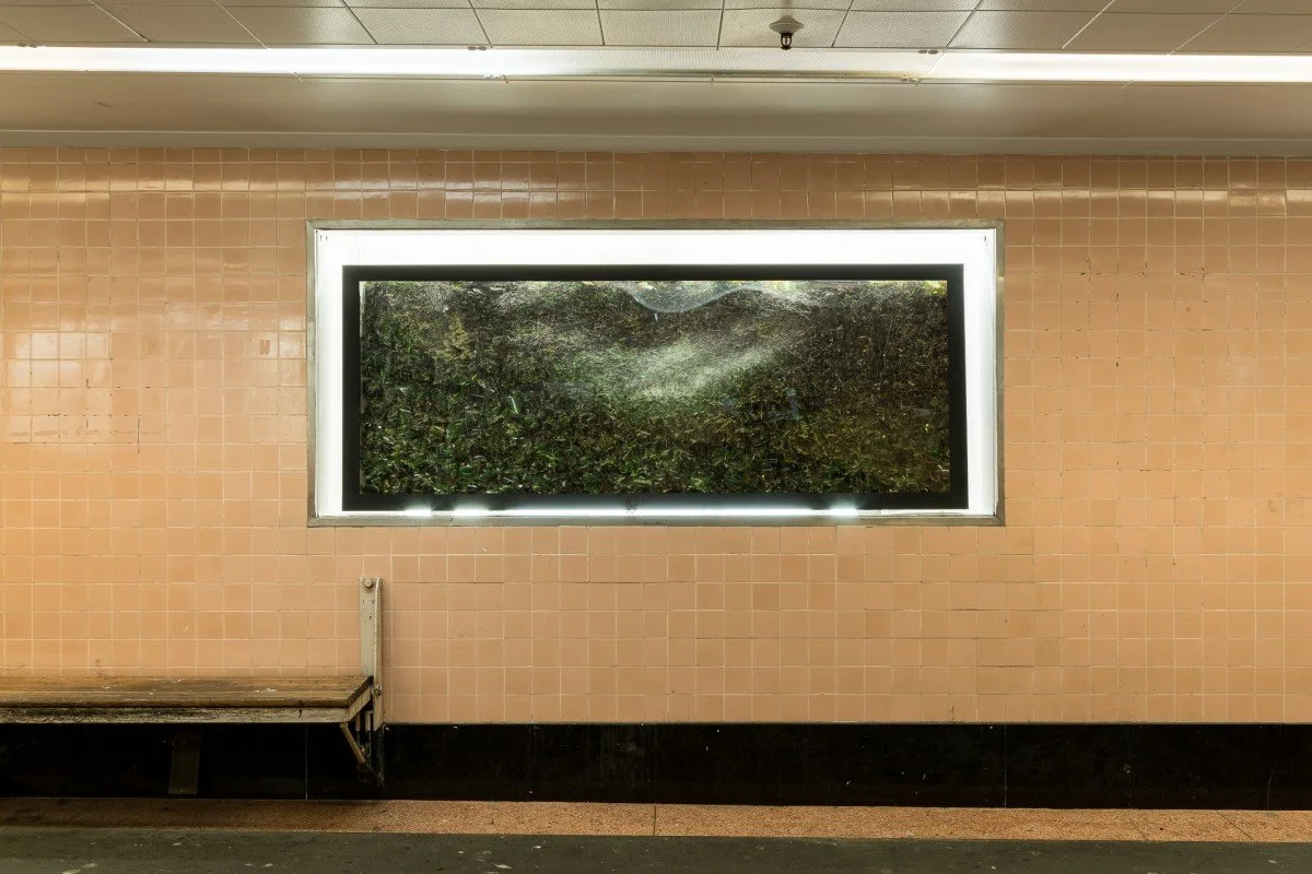 In Focus, Memory Place