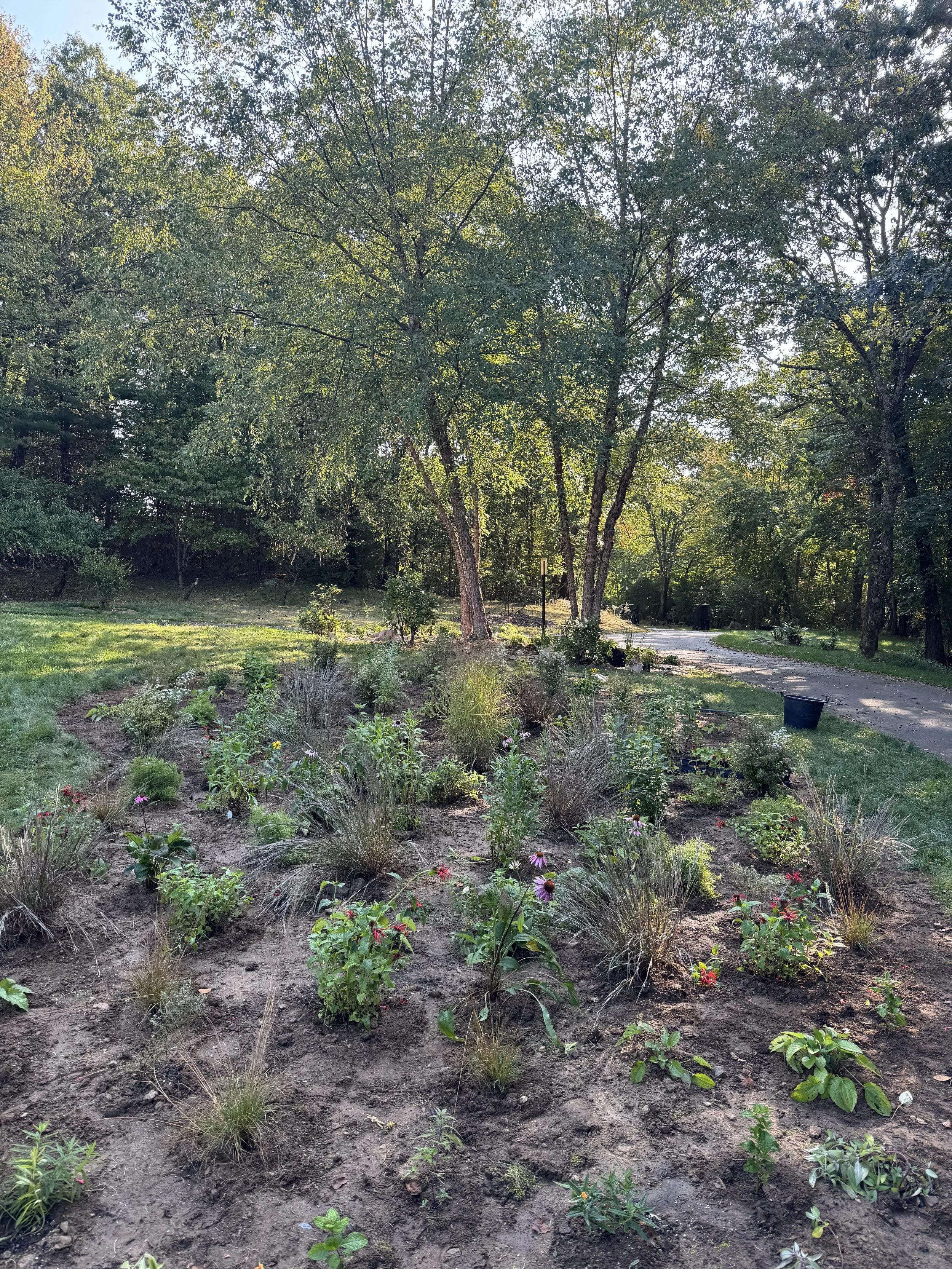 Unger meadow inst.jpeg