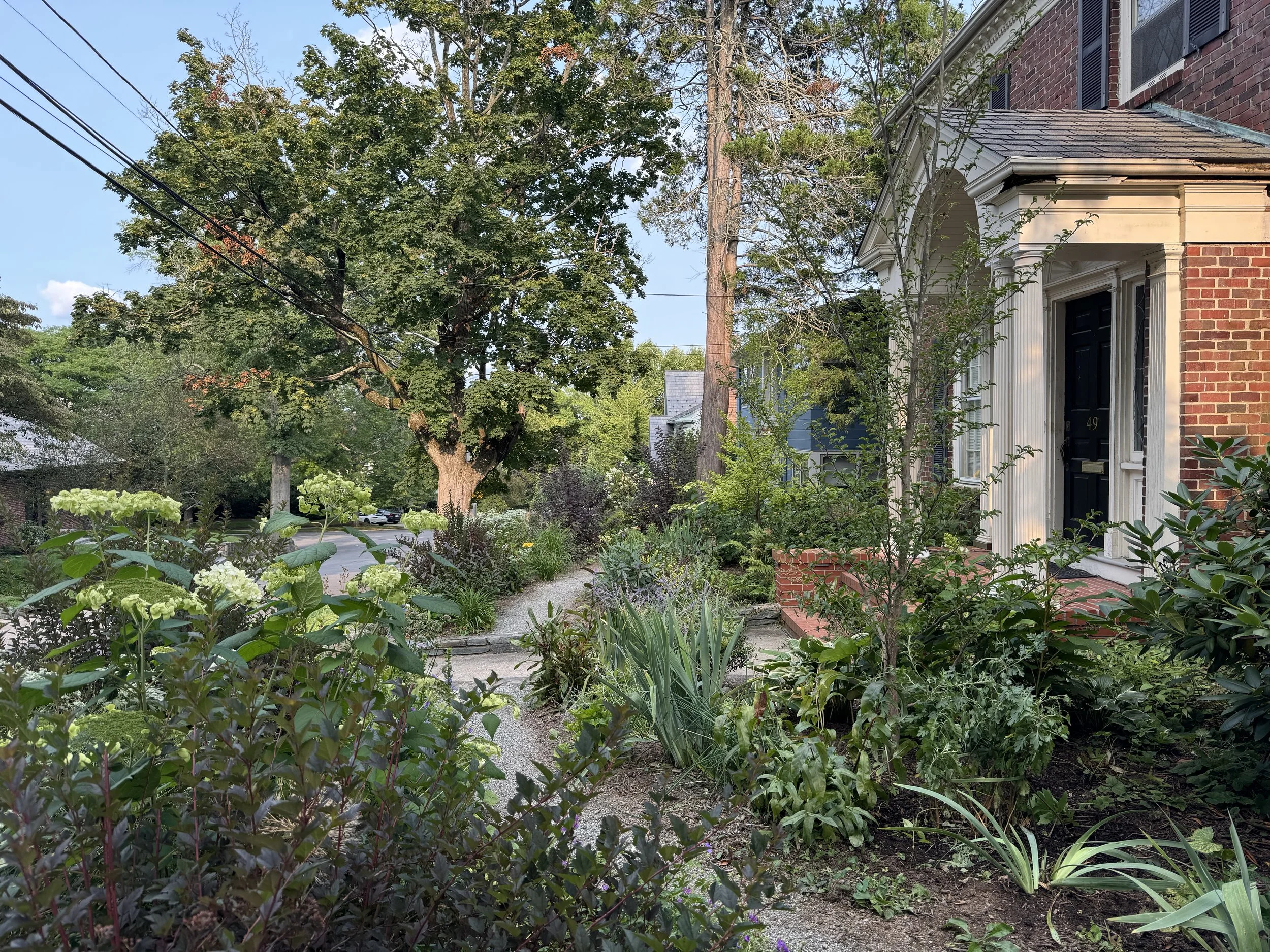 Rocchio front done.jpeg