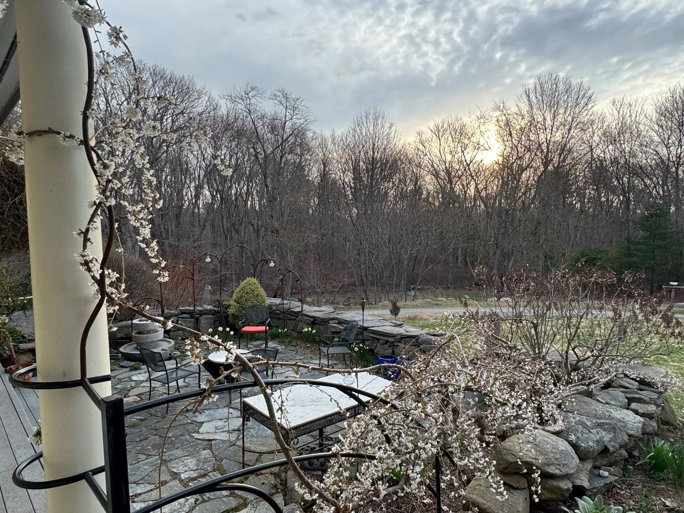 MH railing sprg.jpeg