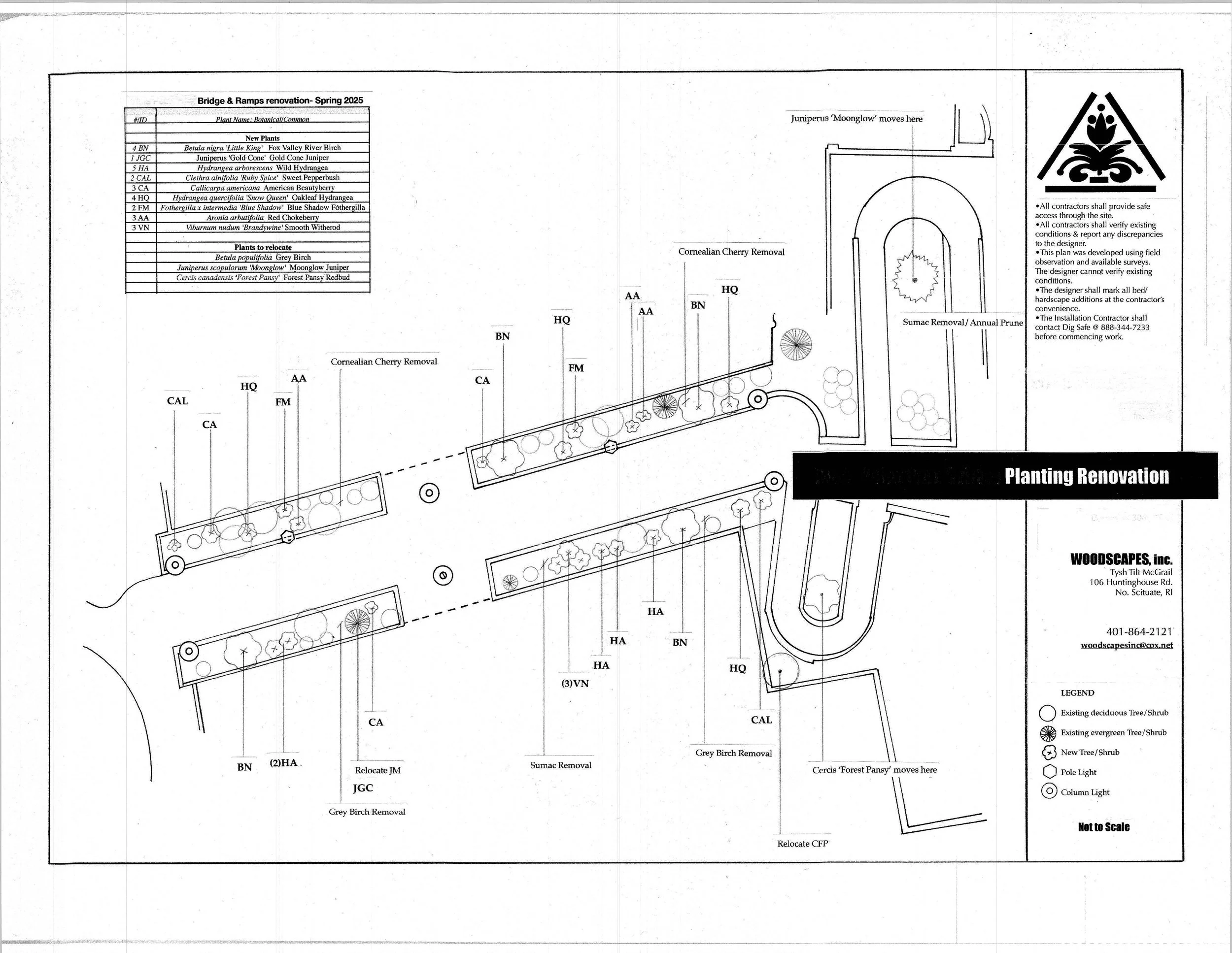 IPP reno planting.jpg