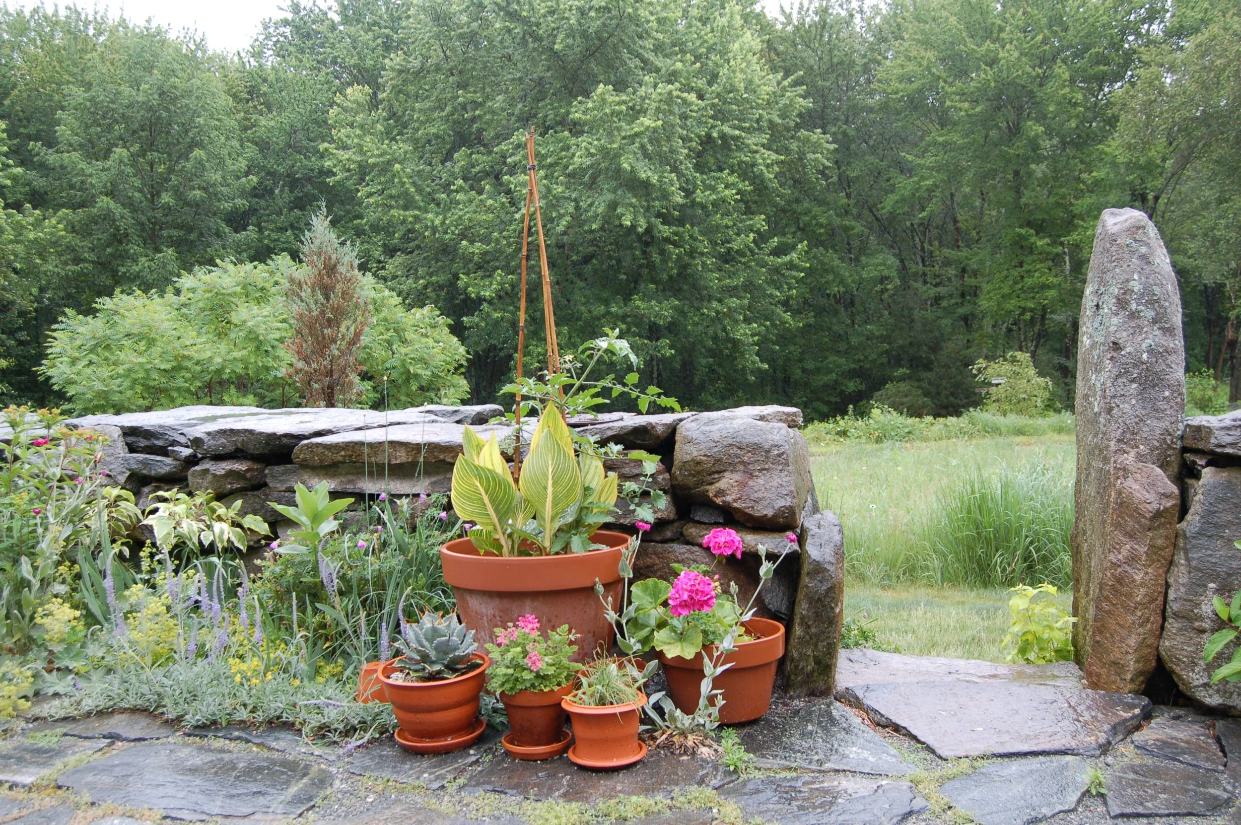 Summer on patio MH.jpg