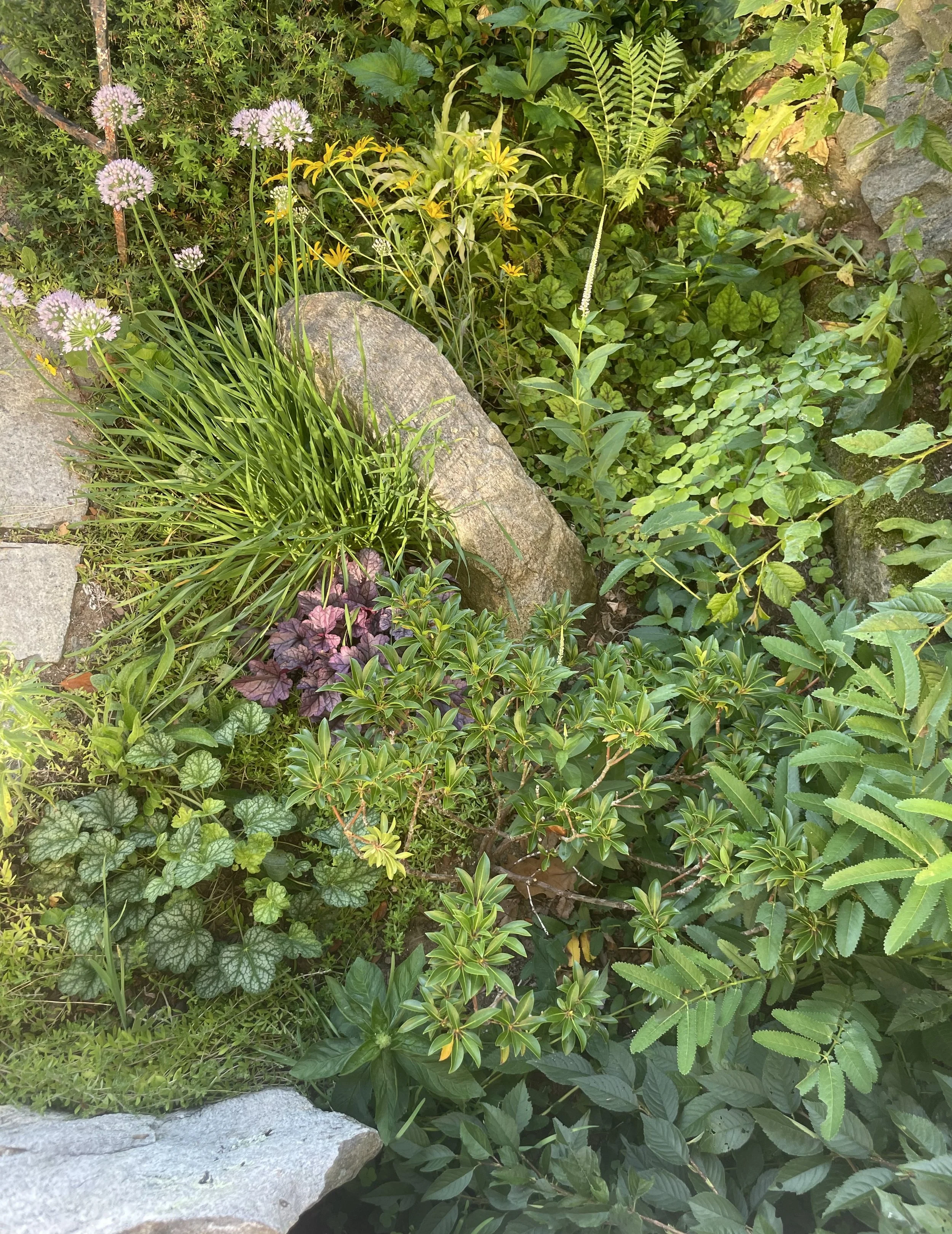 partshade plant detail.jpeg