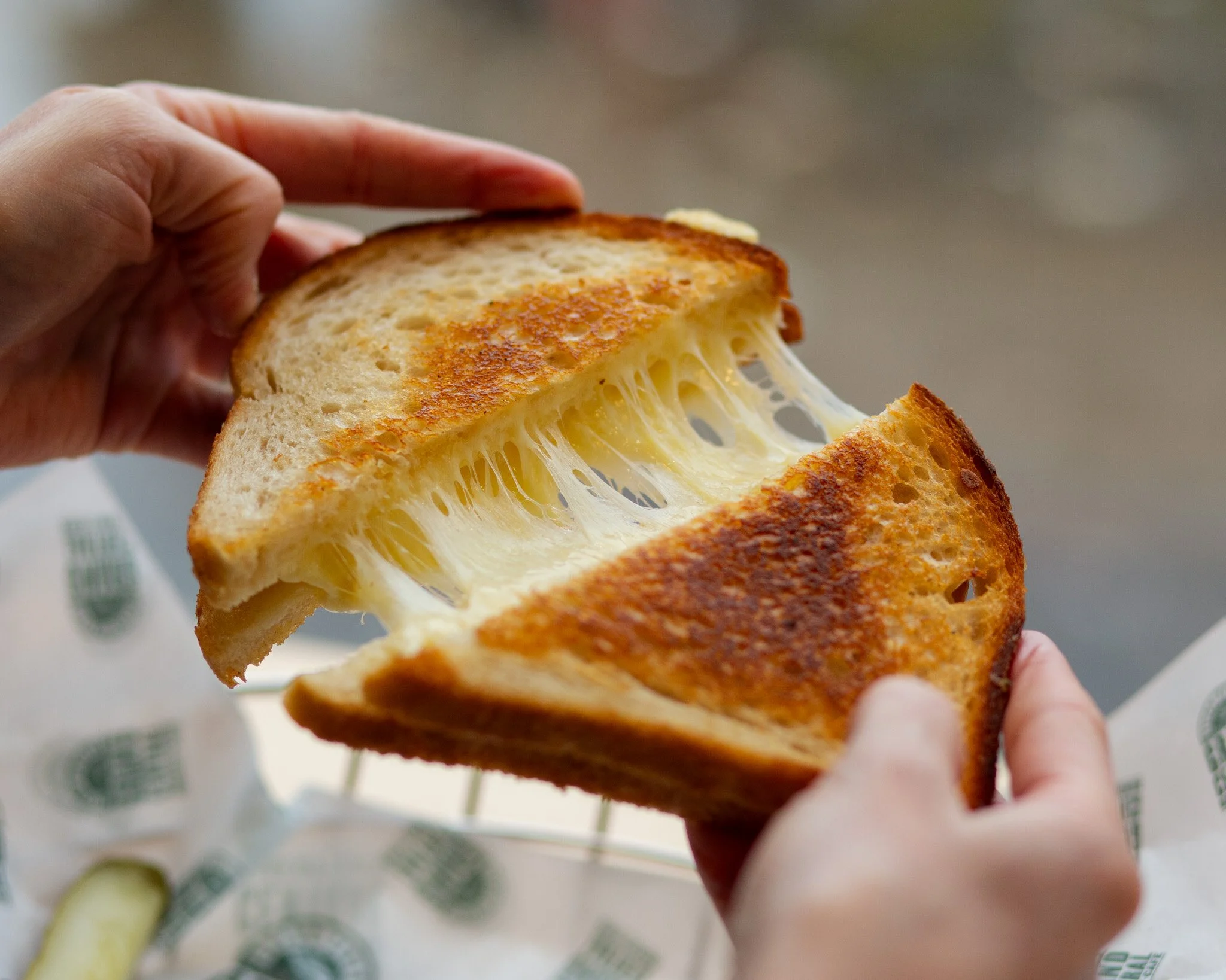 Ferndal Fontal Grilled Cheese-2.jpg