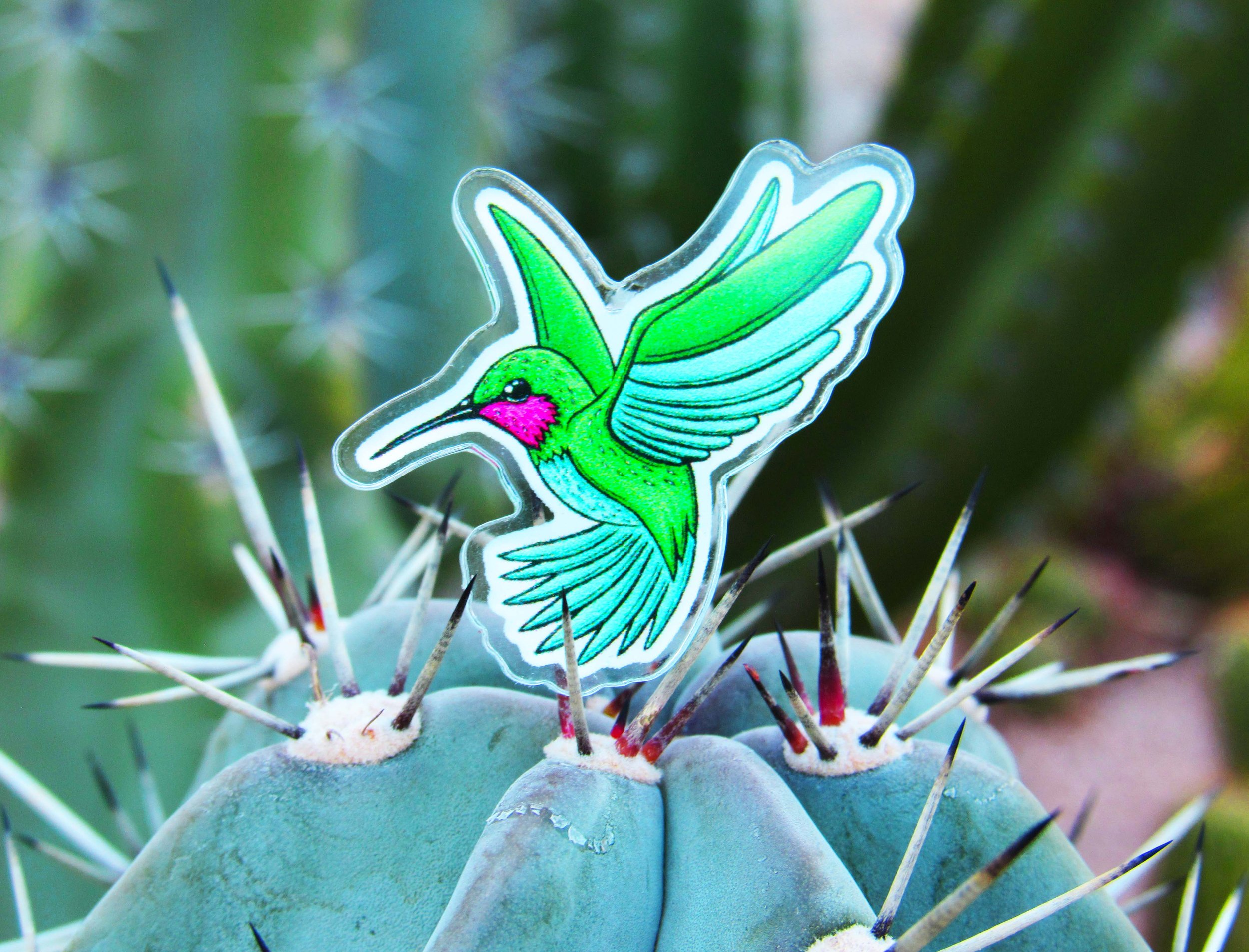 Hummingbird Pin.jpg