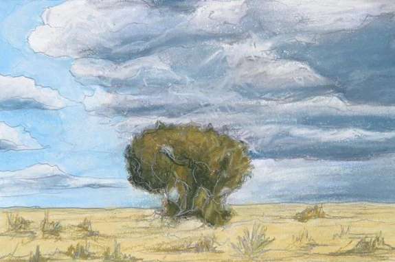 Bush - NuPastel and Graphite on paper