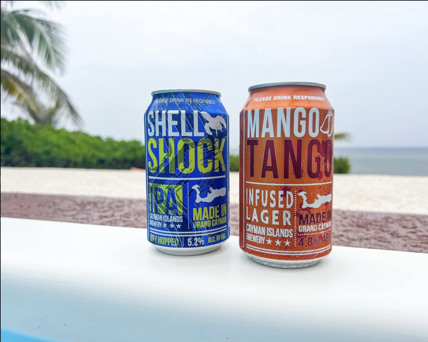 Screen Shot 2023-02-07 at 1.54.02 AM.png