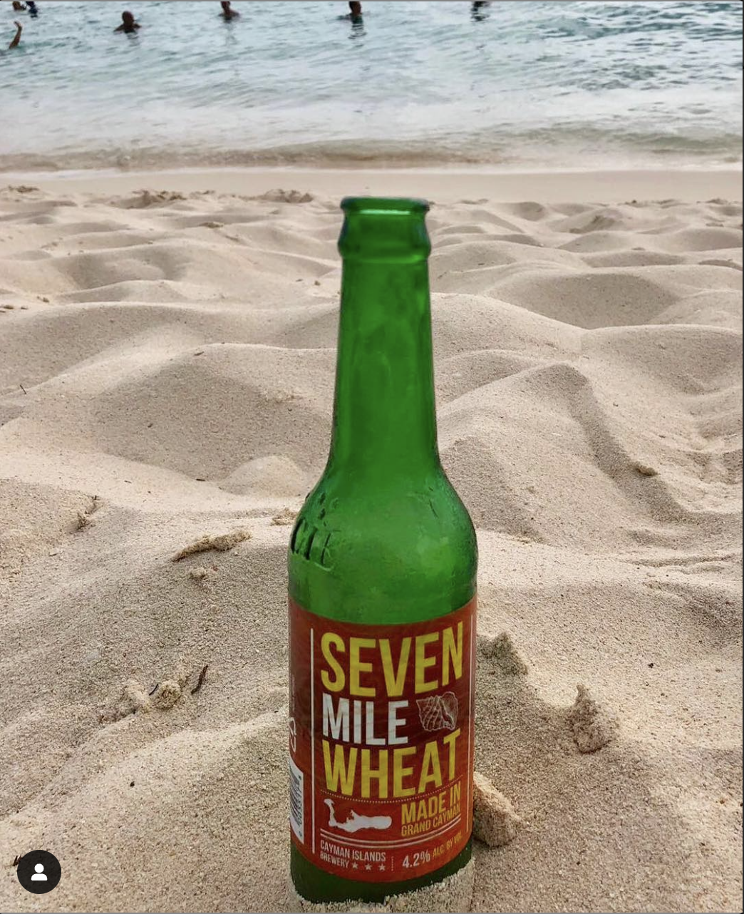 Screen Shot 2023-02-07 at 2.03.02 AM.png